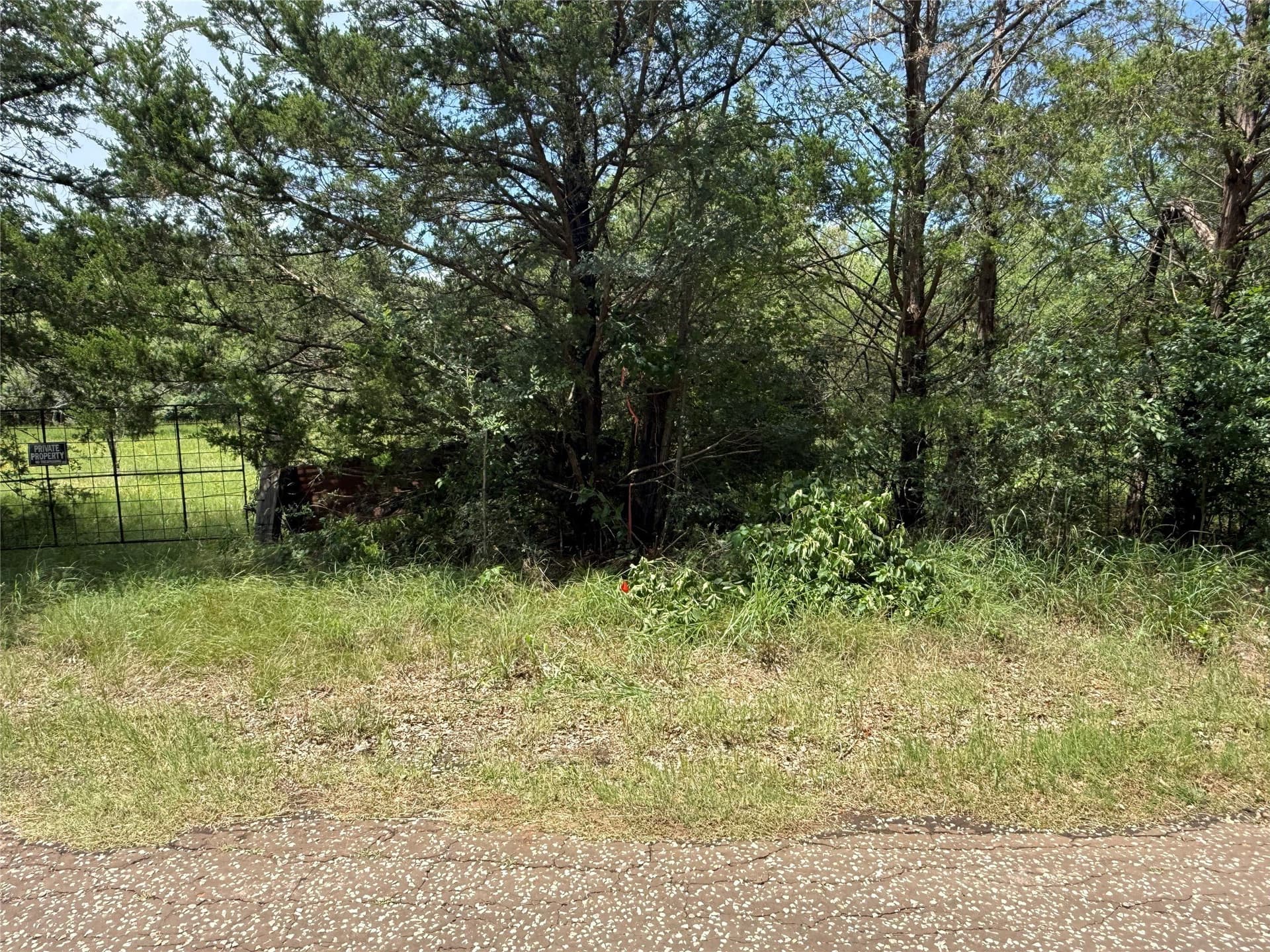 44.16 acres in Freestone County - photo 6