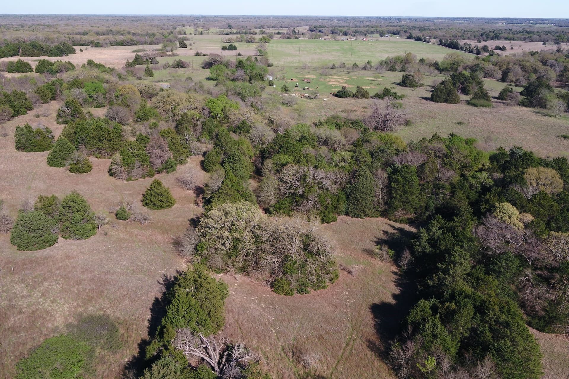 44.16 acres in Freestone County - photo 17