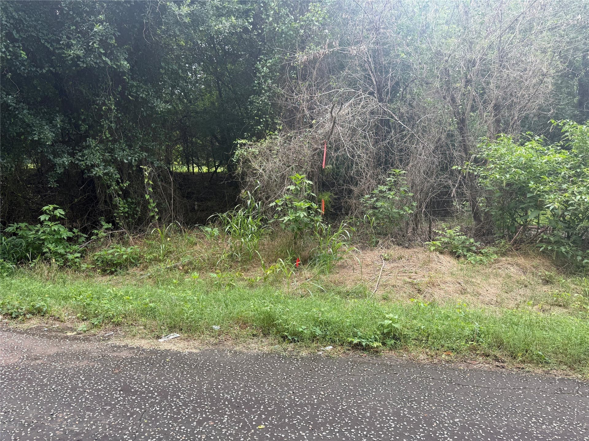 44.16 acres in Freestone County - photo 7