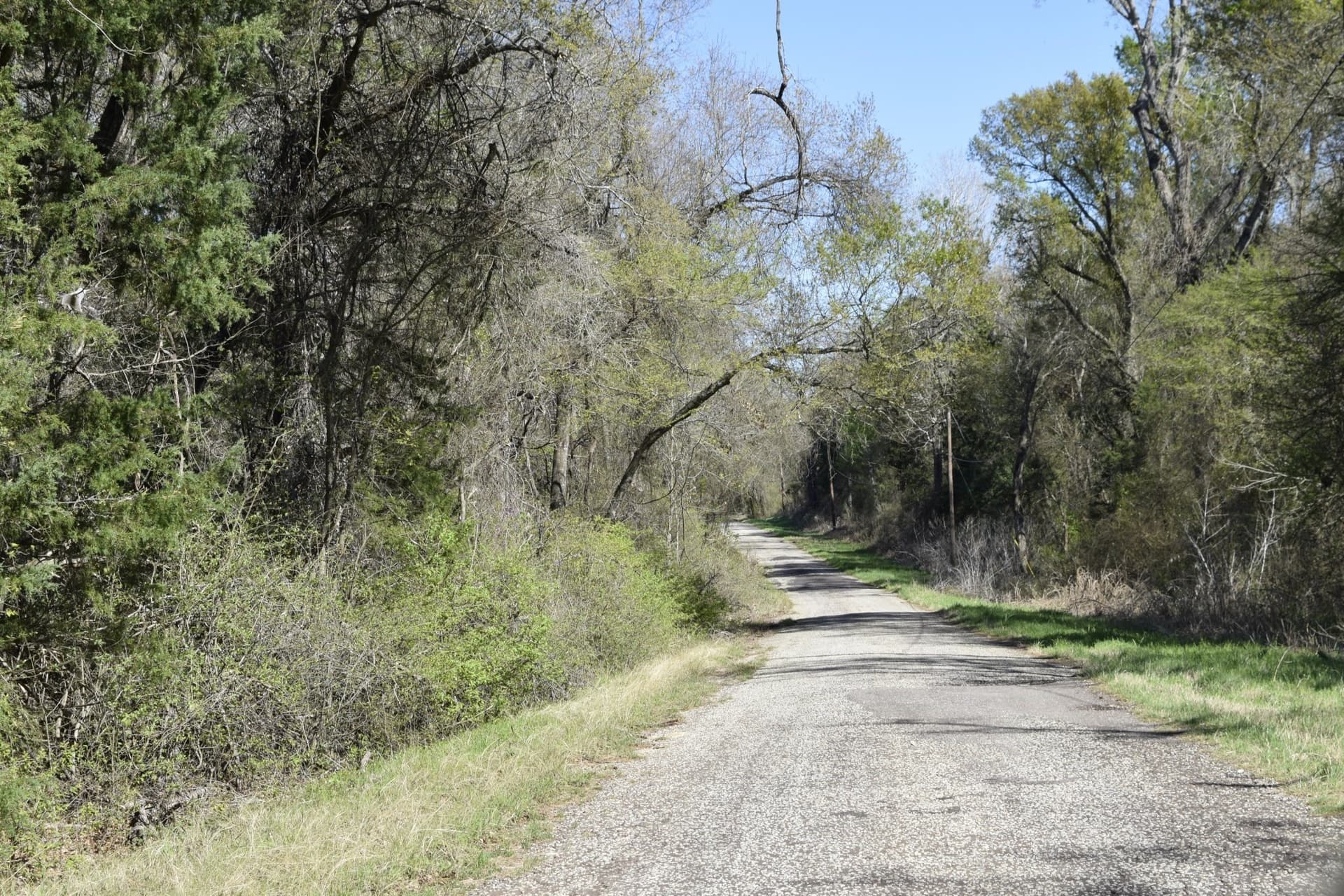 44.16 acres in Freestone County - photo 9