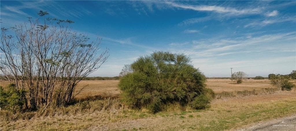 10.4 acres in Jim Wells County gallery image 4