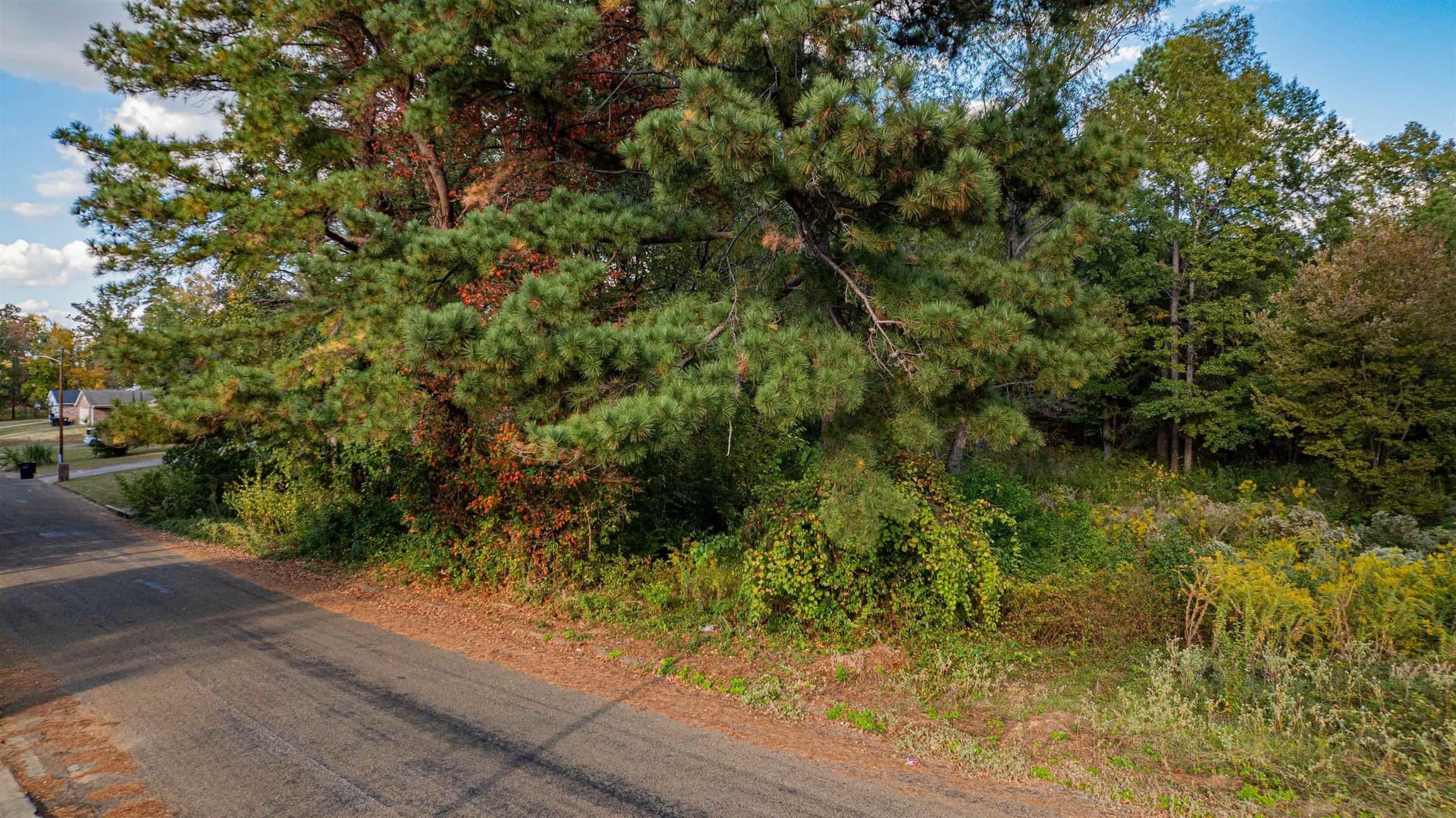 4.84 acres in Gregg County - photo 12