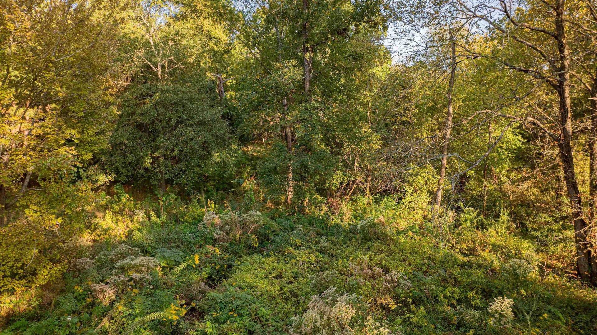 4.84 acres in Gregg County - photo 9
