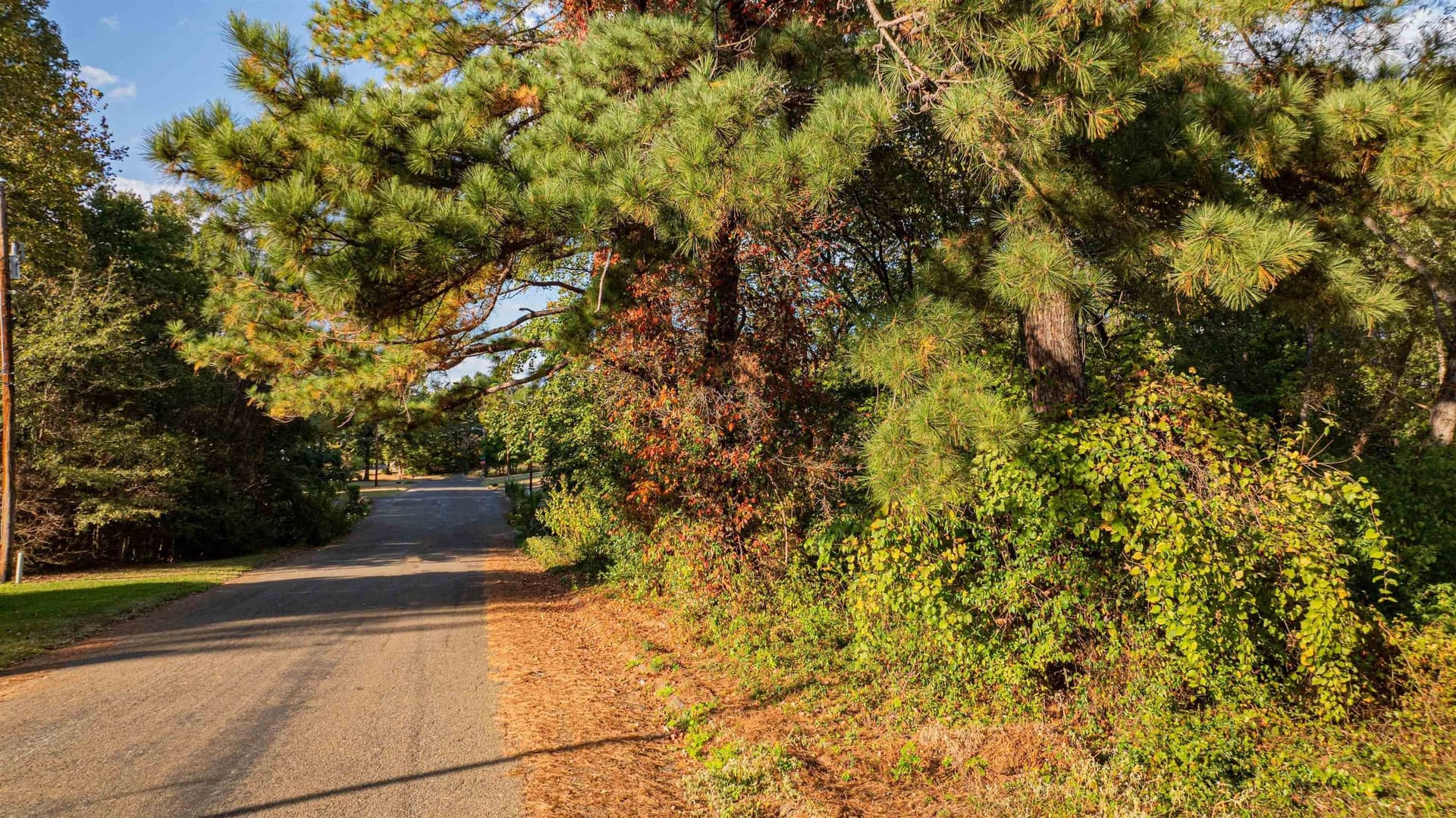 4.84 acres in Gregg County - photo 8
