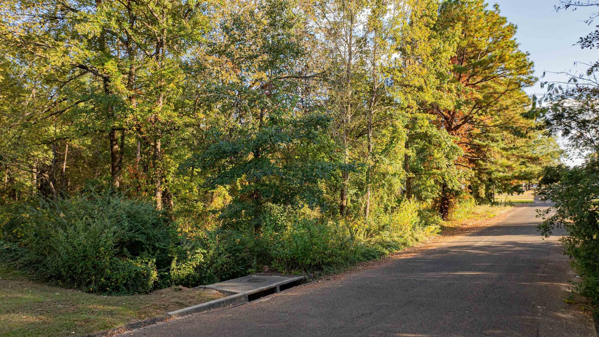 4.84 acres in Gregg County - photo 7