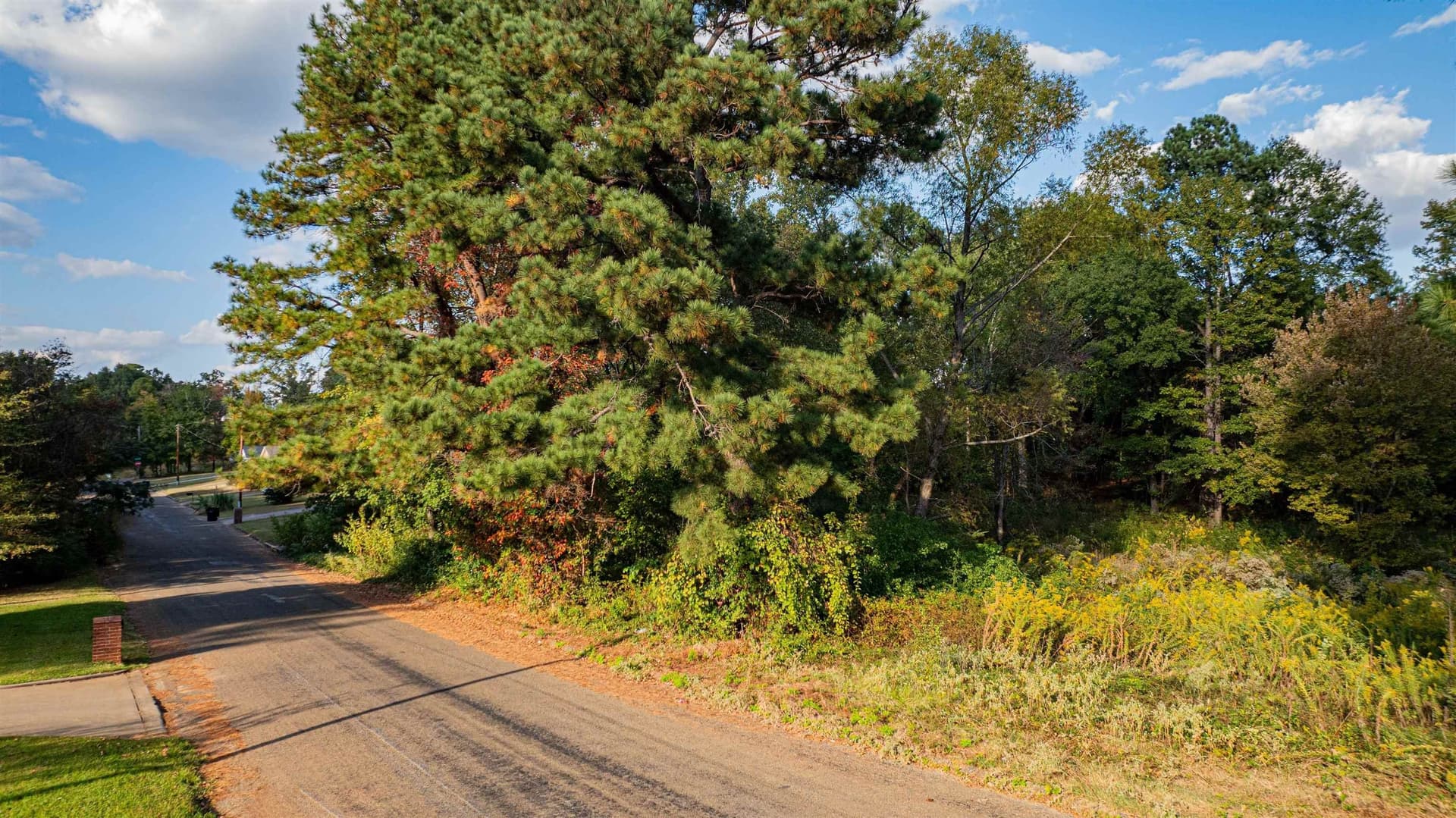 4.84 acres in Gregg County - photo 11