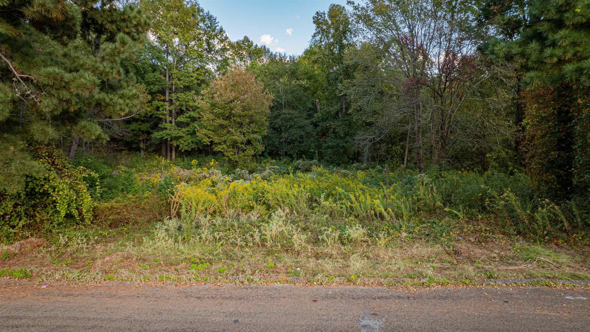 4.84 acres in Gregg County - photo 6