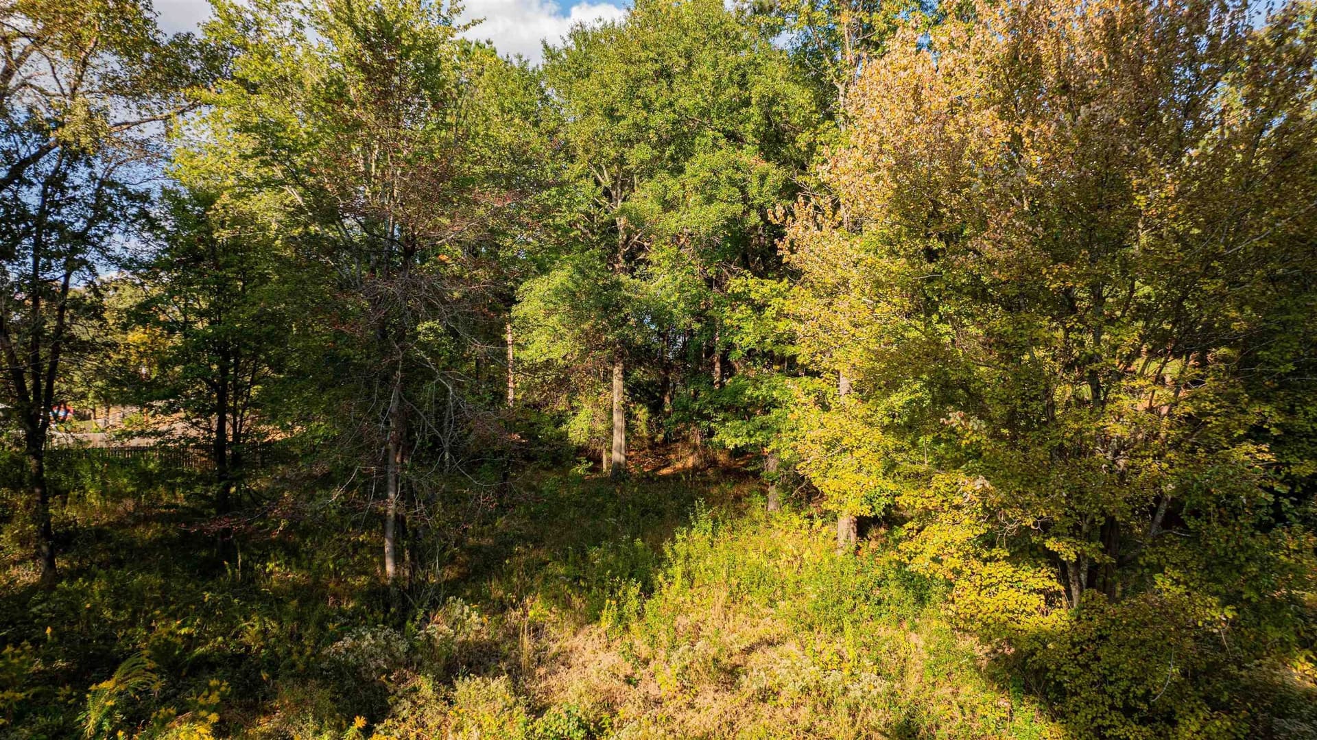 4.84 acres in Gregg County - photo 10