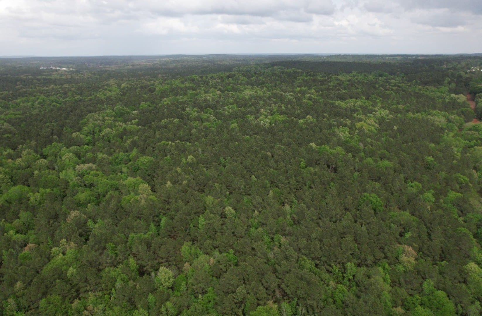 110 acres in San Augustine County - photo 10