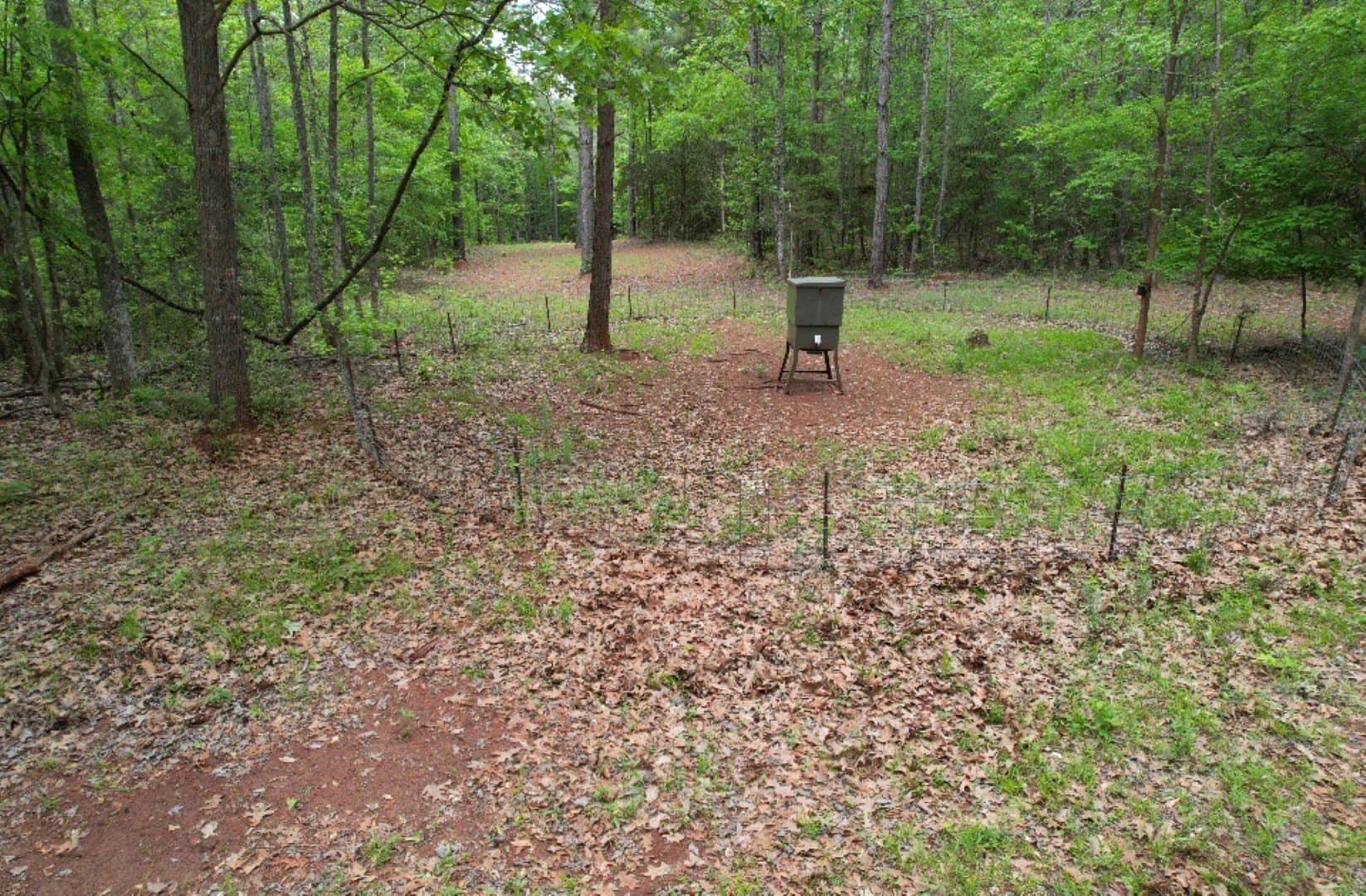 110 acres in San Augustine County - photo 3