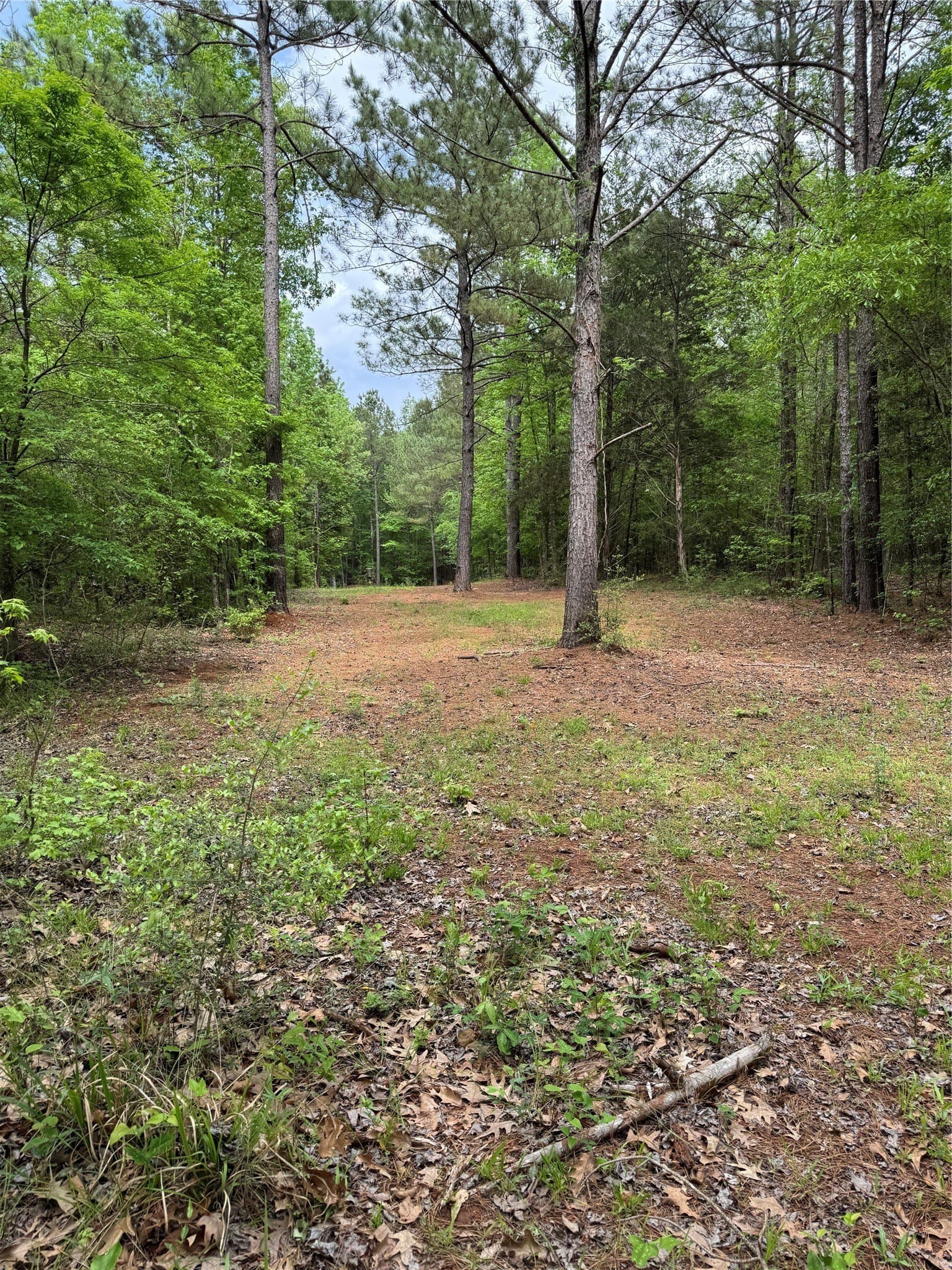 110 acres in San Augustine County - photo 8