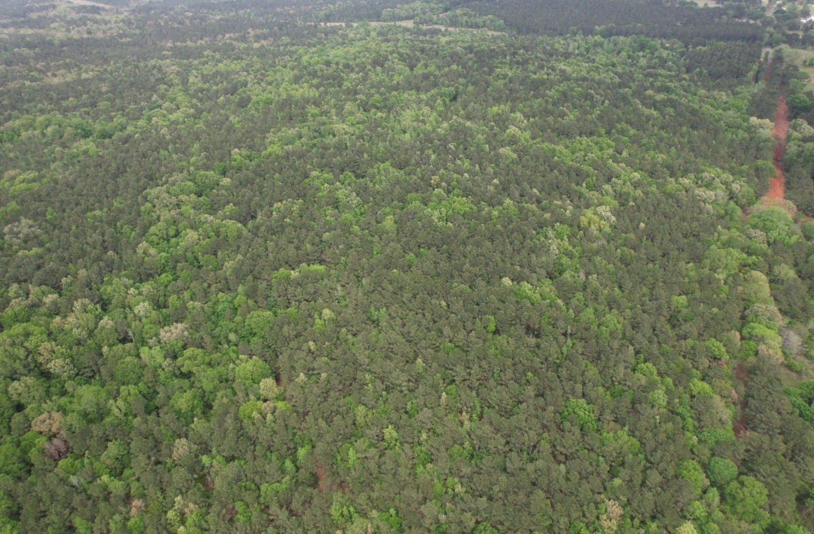 110 acres in San Augustine County - photo 11