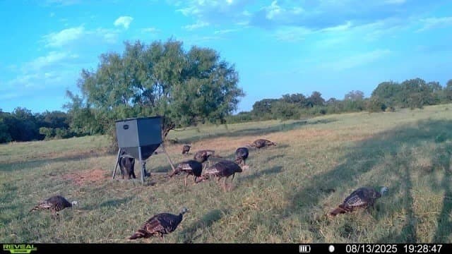 166.46 acres in Brown County - photo 4