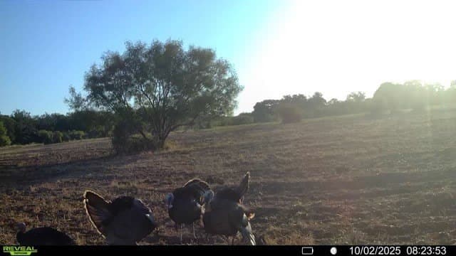 166.46 acres in Brown County - photo 5