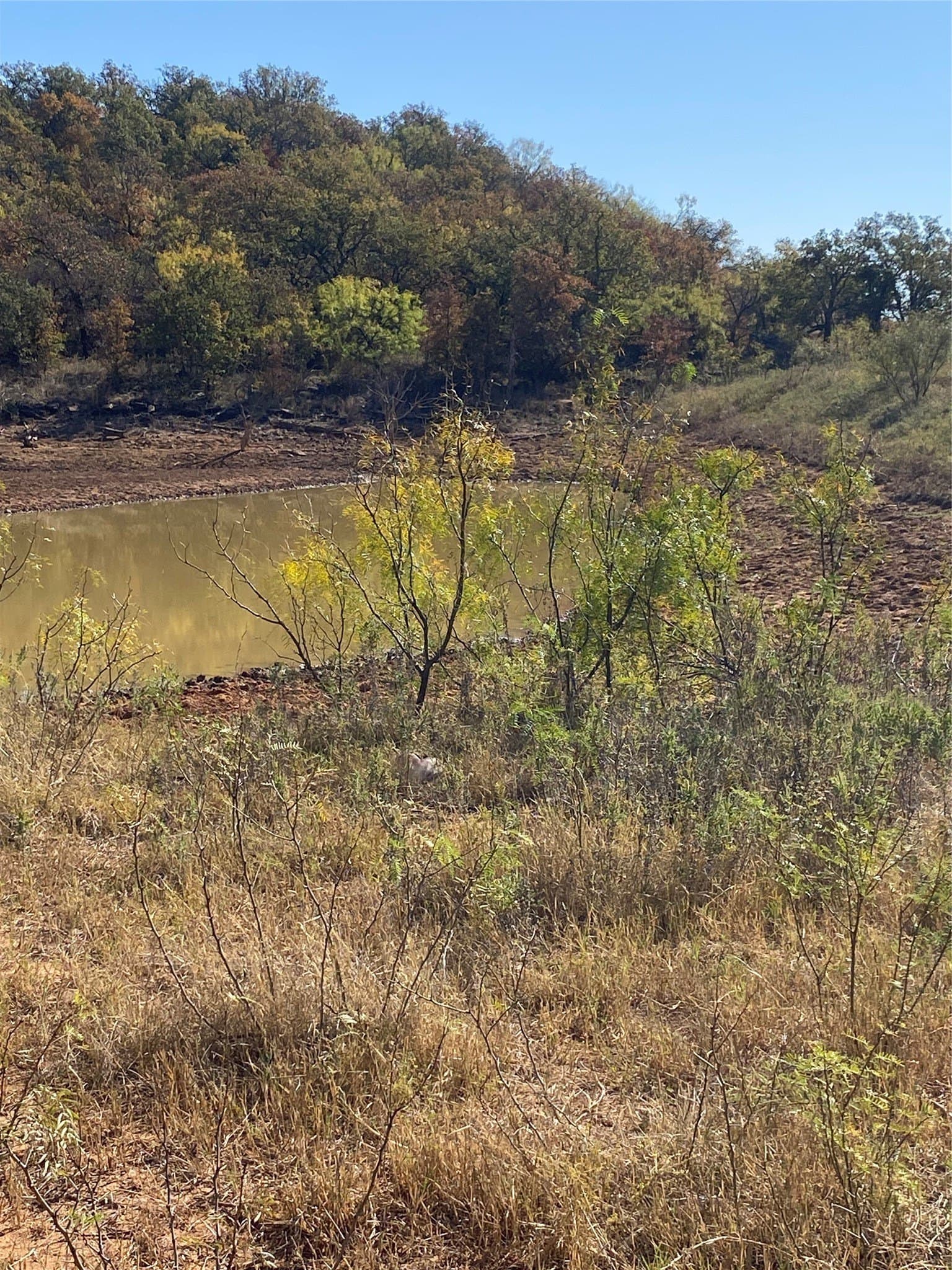 166.46 acres in Brown County - photo 9