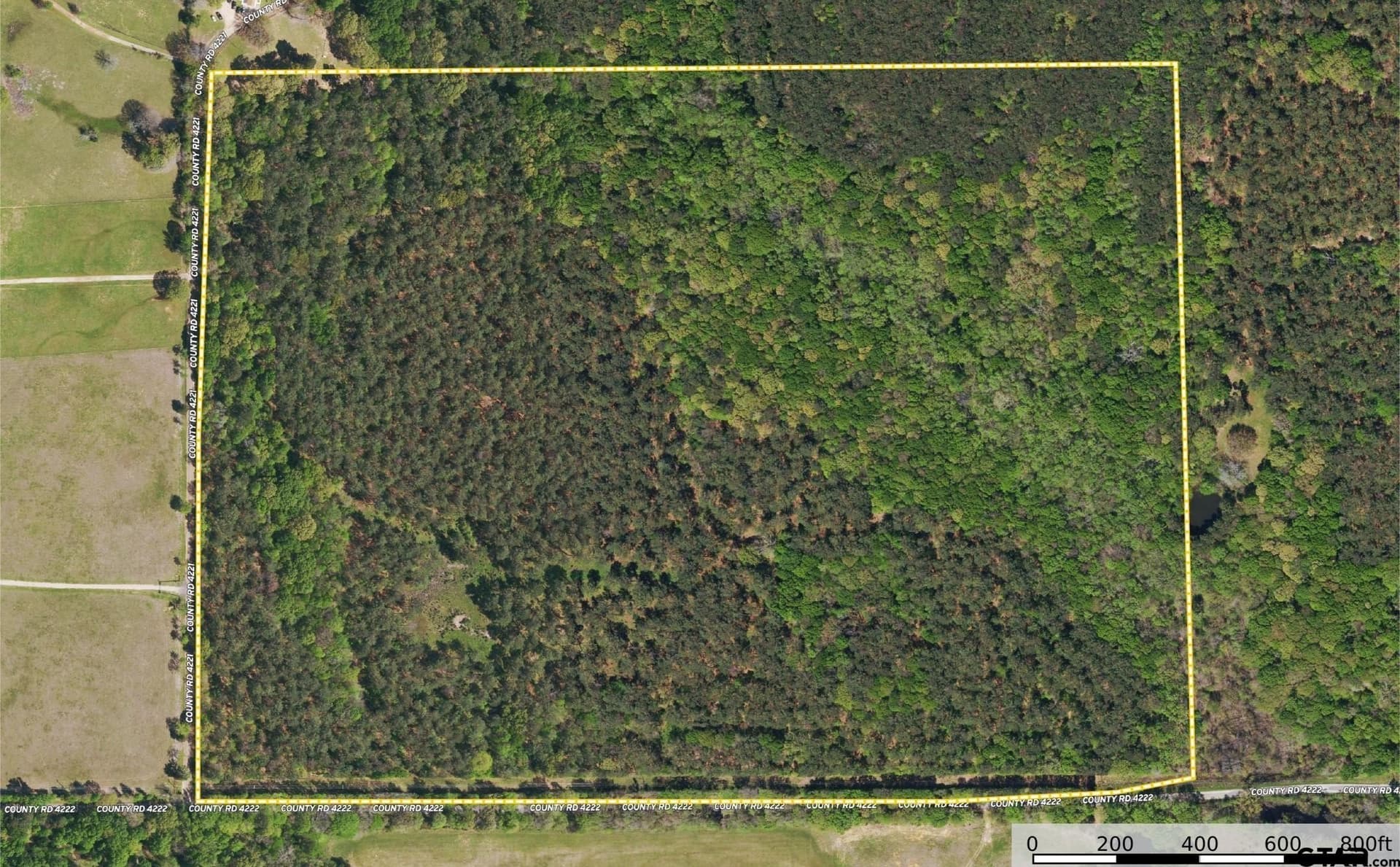 94.5 acres in Henderson County - photo 31