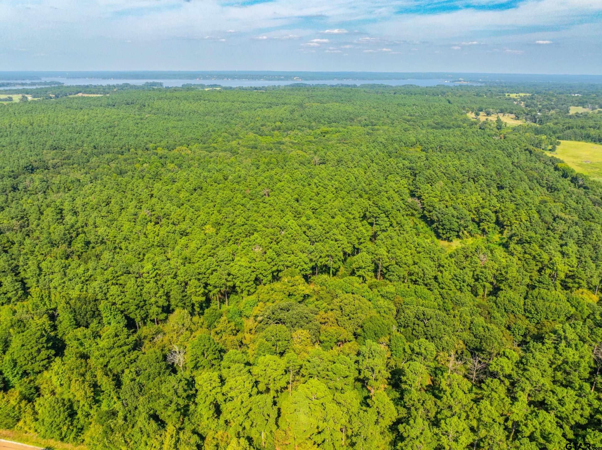 94.5 acres in Henderson County - photo 27
