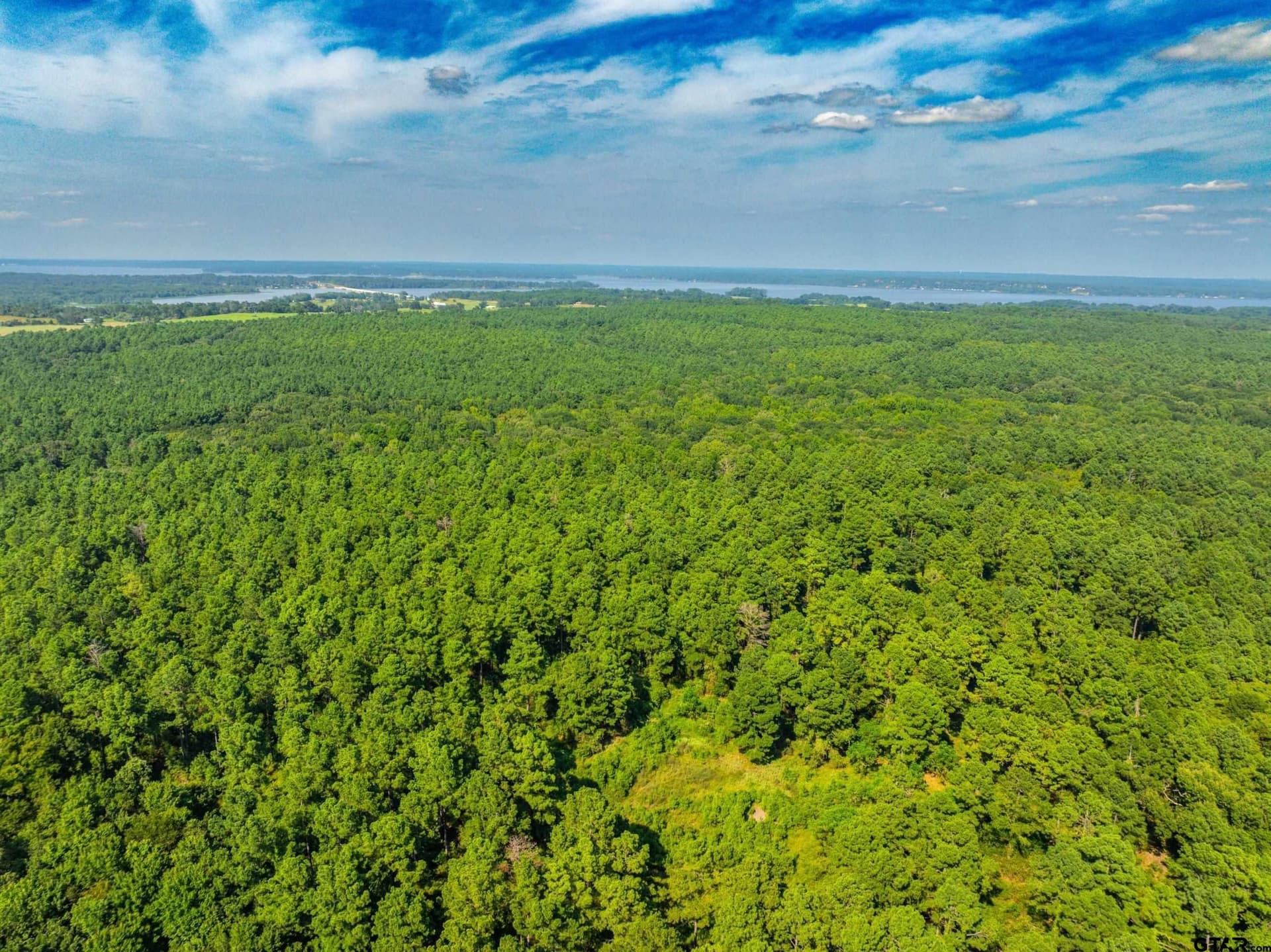 94.5 acres in Henderson County - photo 28