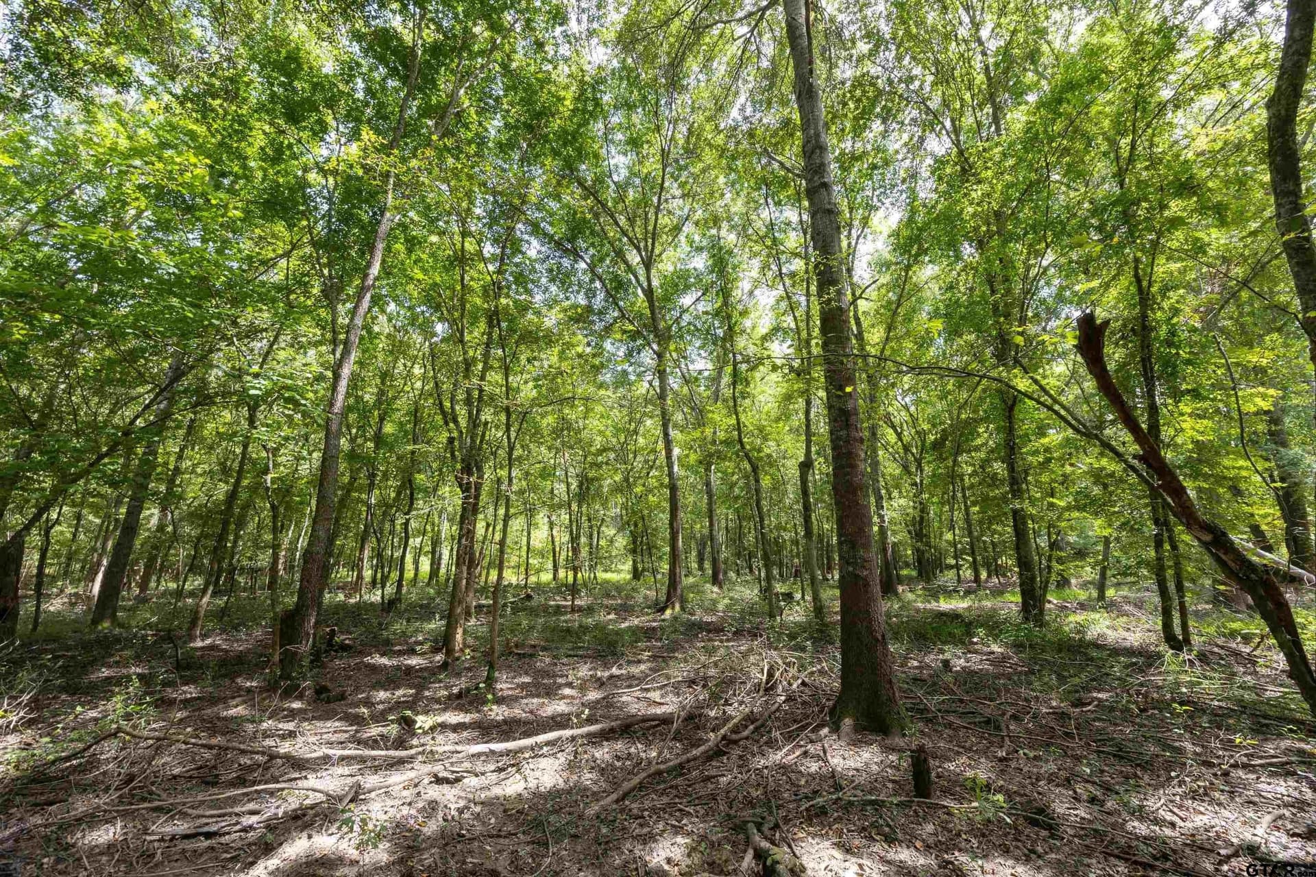 94.5 acres in Henderson County - photo 12