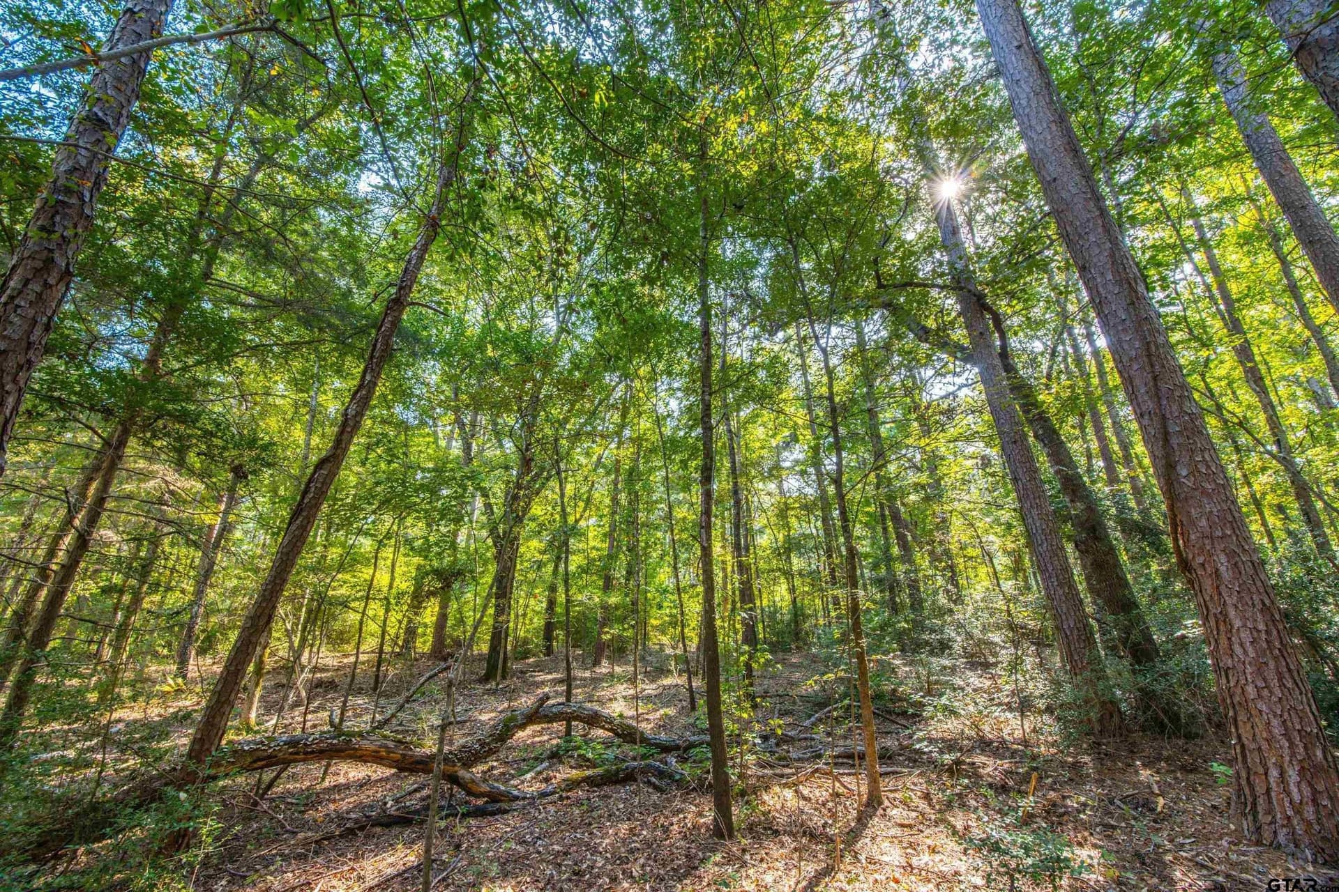 94.5 acres in Henderson County - photo 19