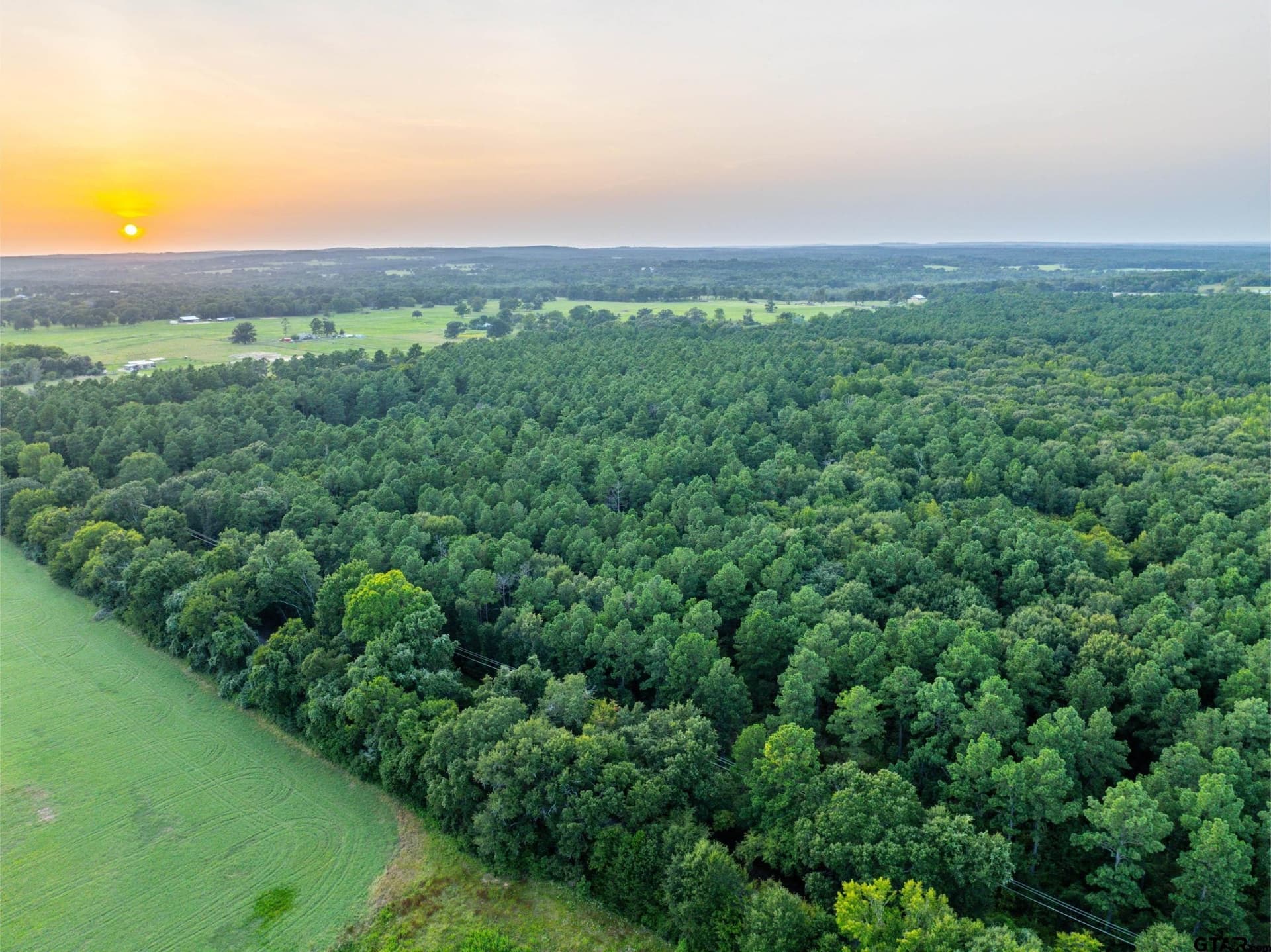 94.5 acres in Henderson County - photo 26