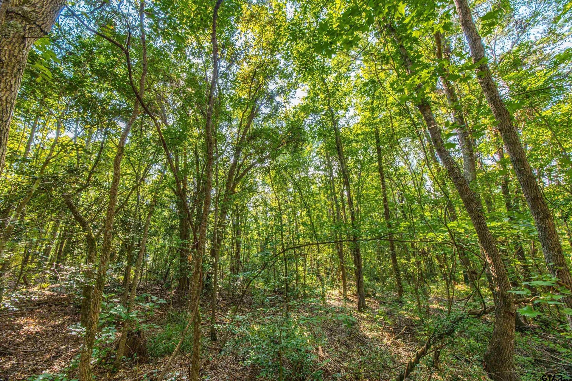 94.5 acres in Henderson County - photo 17