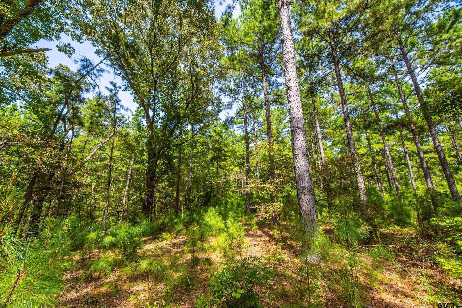 94.5 acres in Henderson County - photo 14