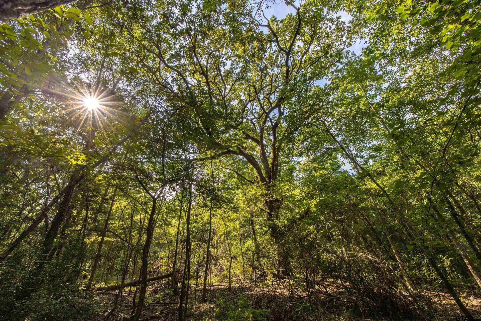94.5 acres in Henderson County - photo 23