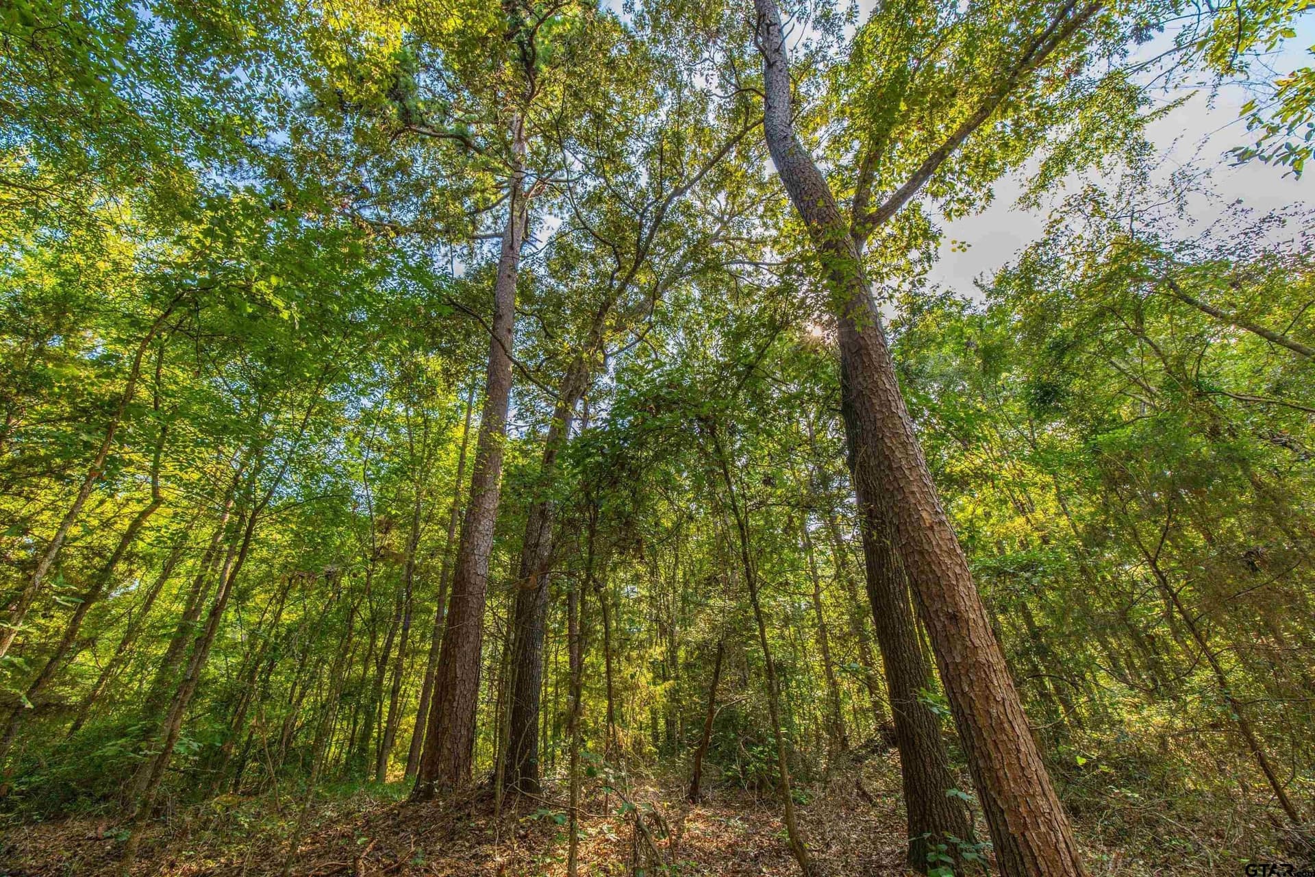94.5 acres in Henderson County - photo 20