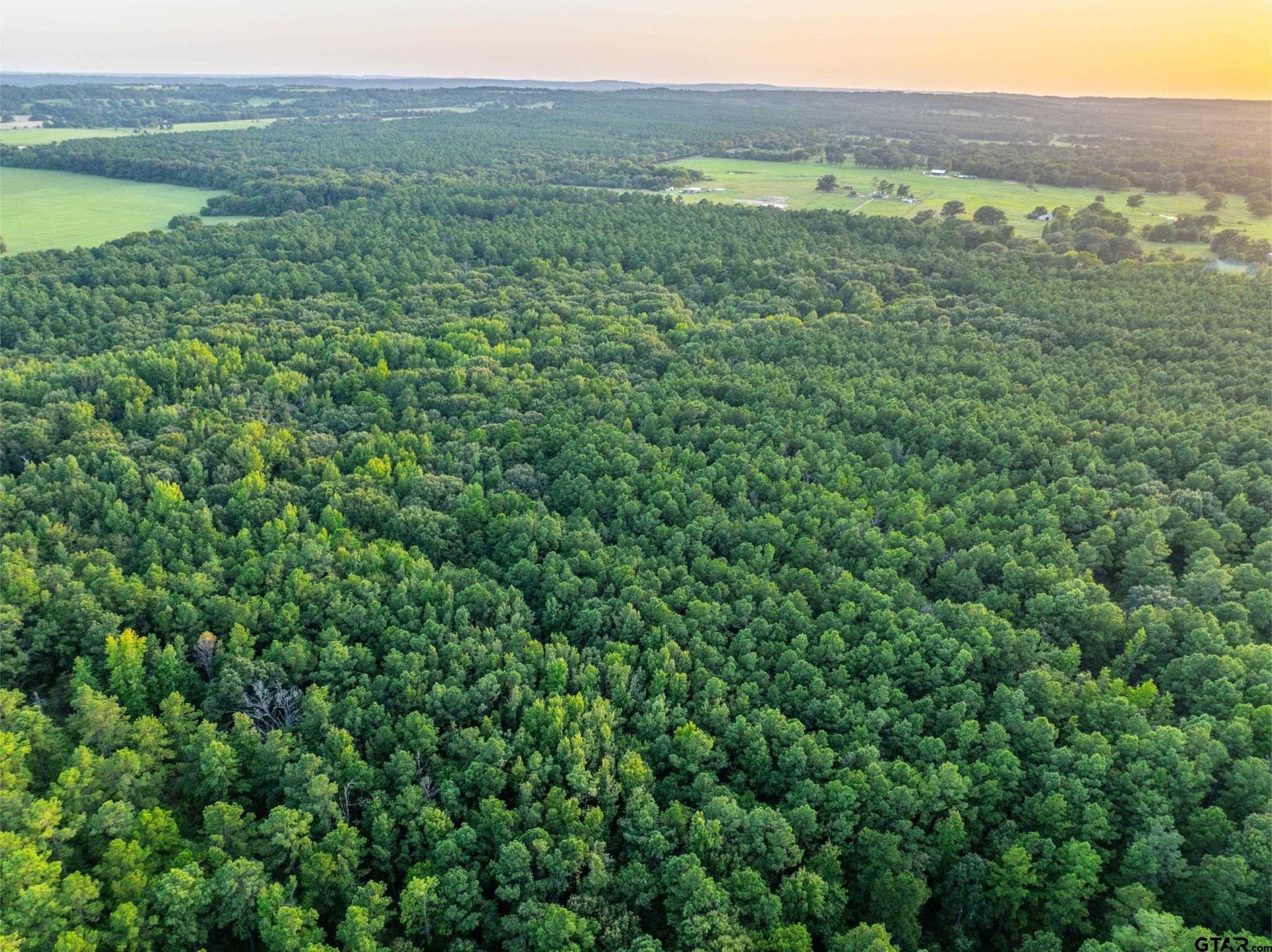 94.5 acres in Henderson County - photo 24