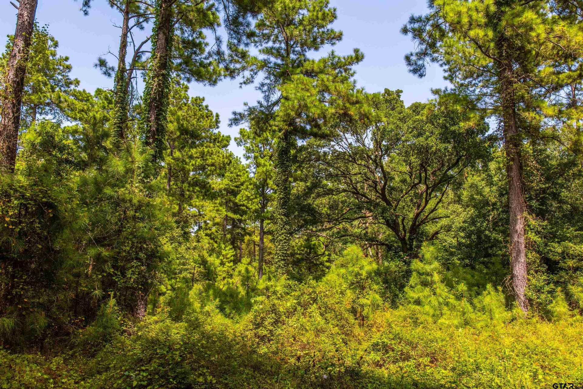 94.5 acres in Henderson County - photo 3