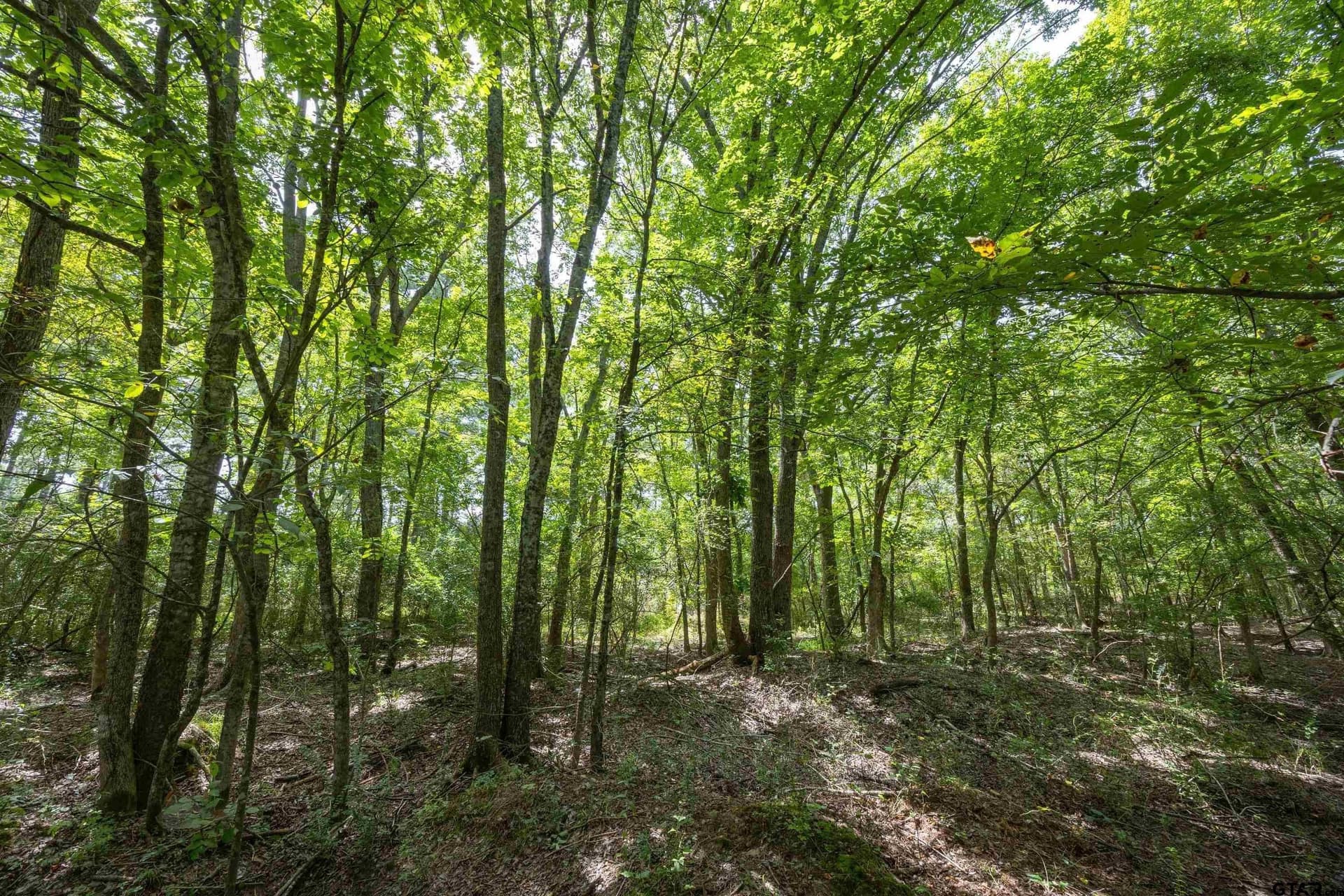 94.5 acres in Henderson County - photo 8