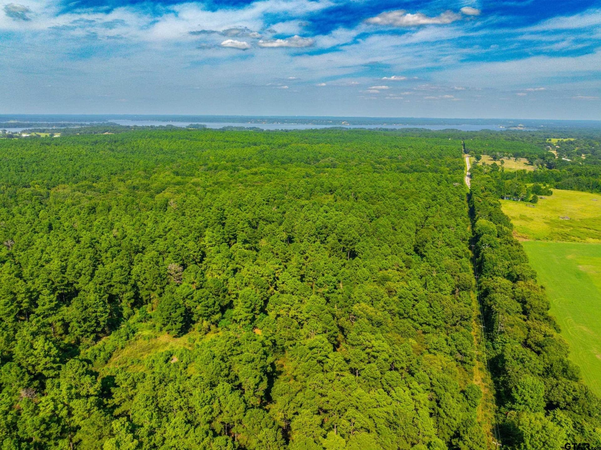 94.5 acres in Henderson County - photo 29