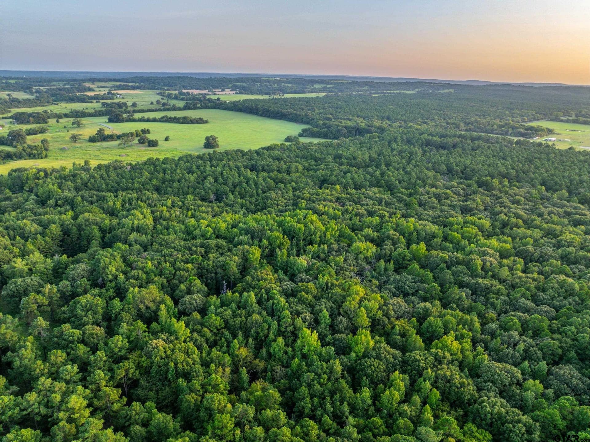 94.5 acres in Henderson County - photo 25