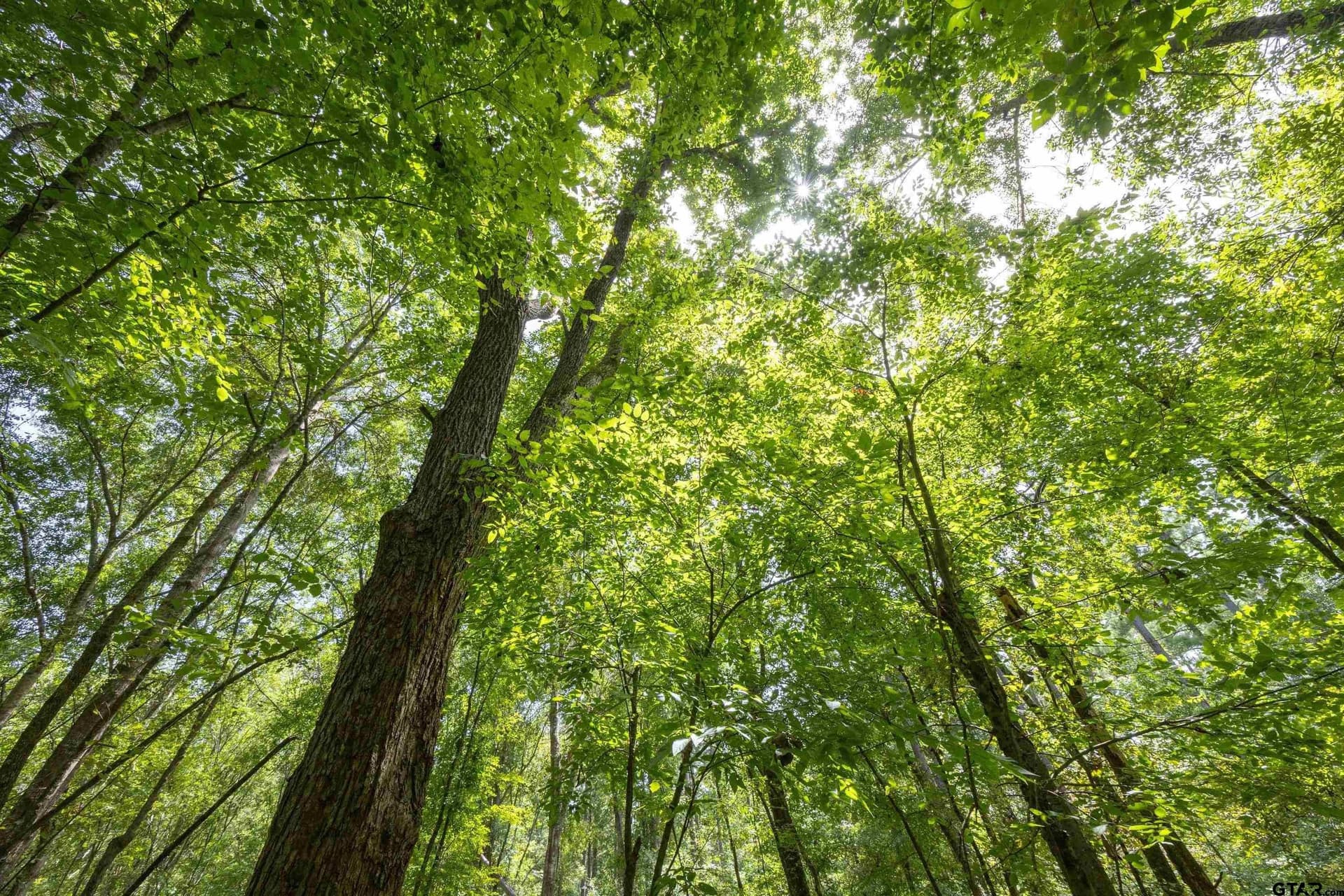 94.5 acres in Henderson County