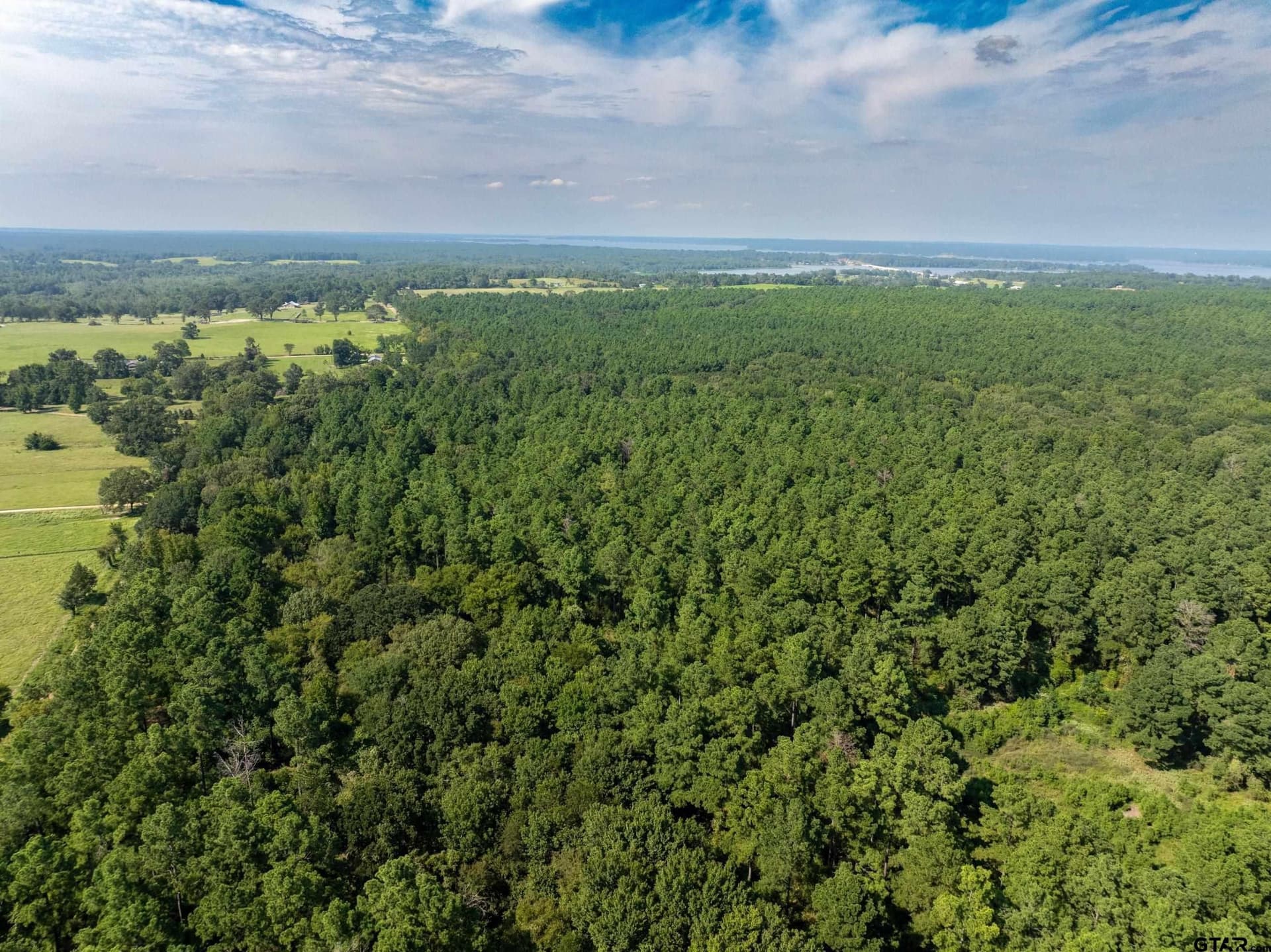 94.5 acres in Henderson County - photo 30