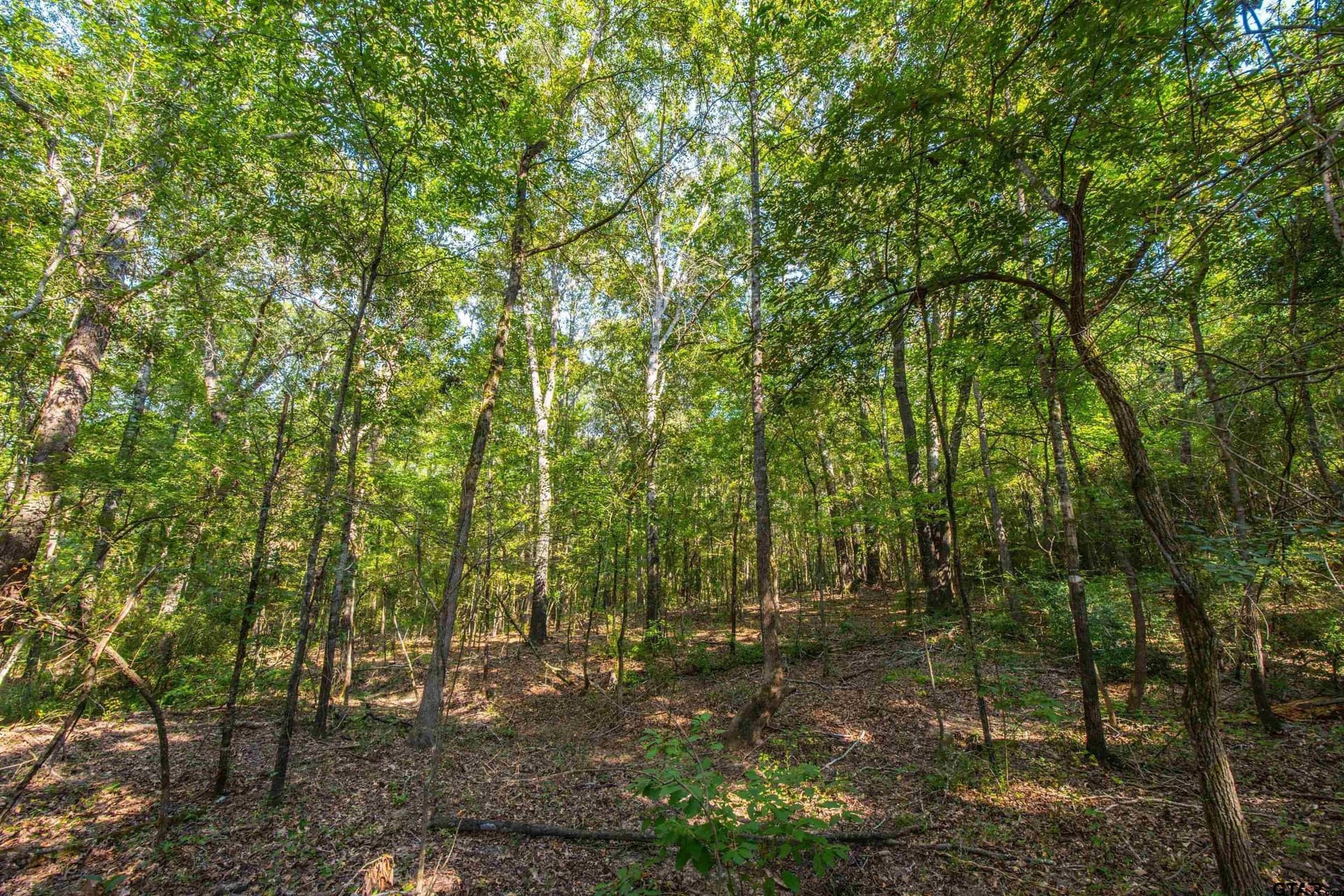 94.5 acres in Henderson County - photo 21