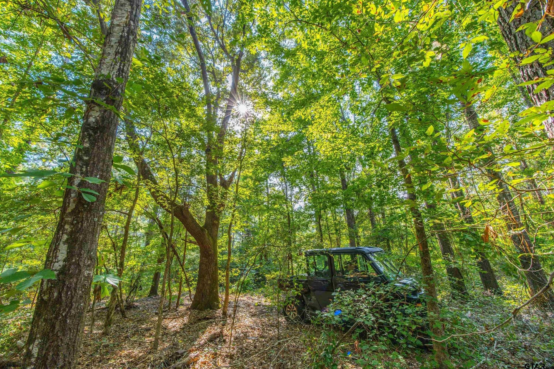 94.5 acres in Henderson County - photo 15