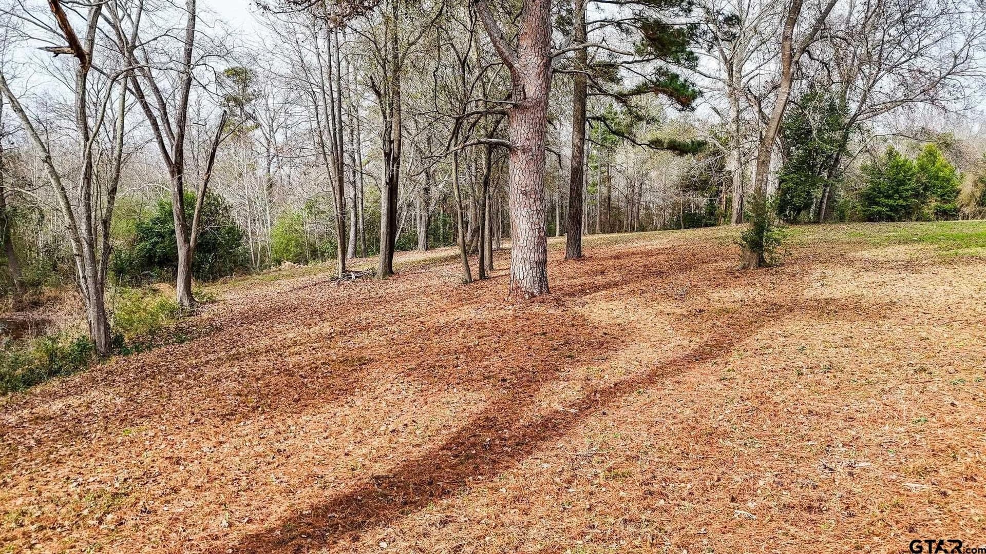 1.69 acres in Henderson County gallery image 3