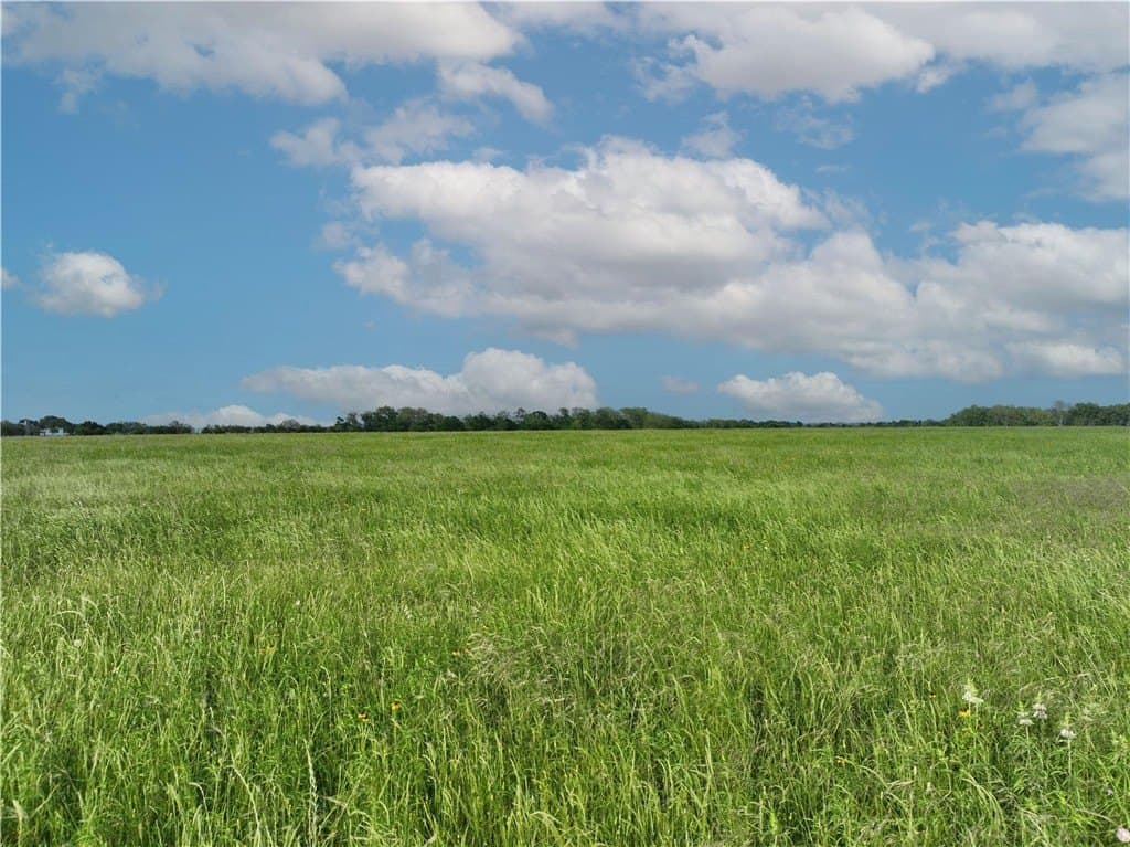 23.49 acres in AUSTIN County - photo 2