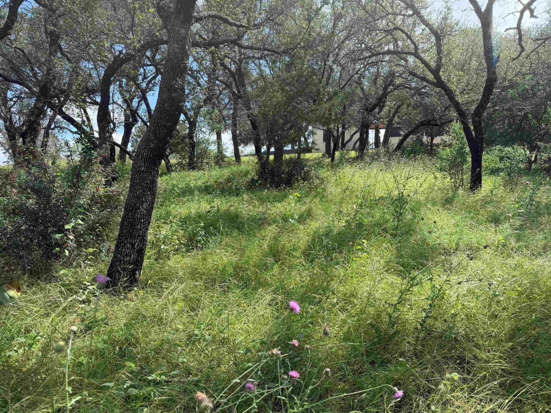 0.26 acres in Llano County gallery image 3