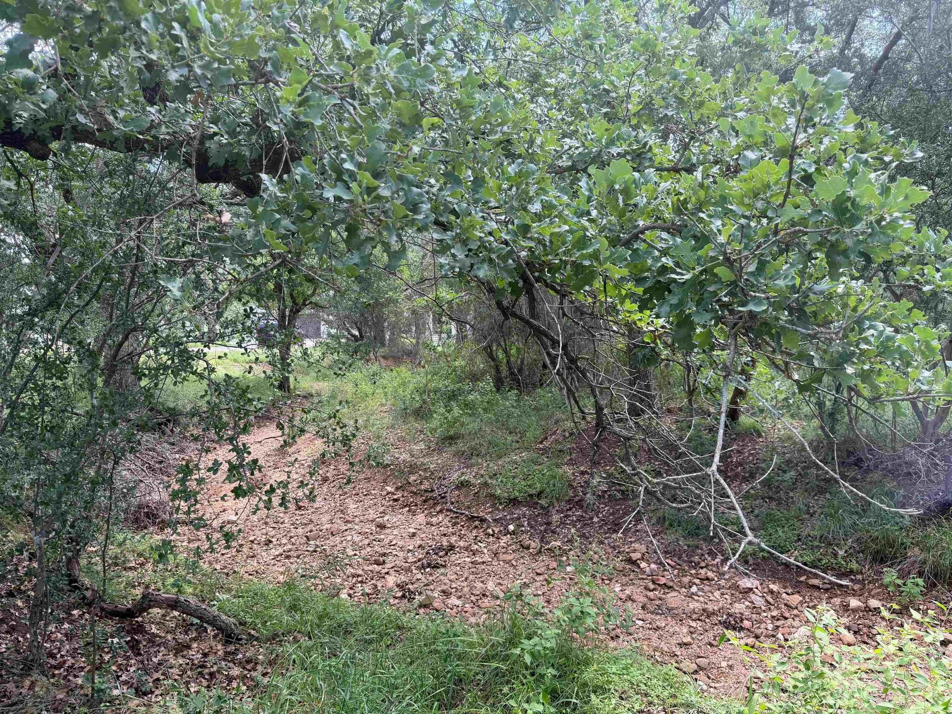 0.26 acres in Llano County - photo 7