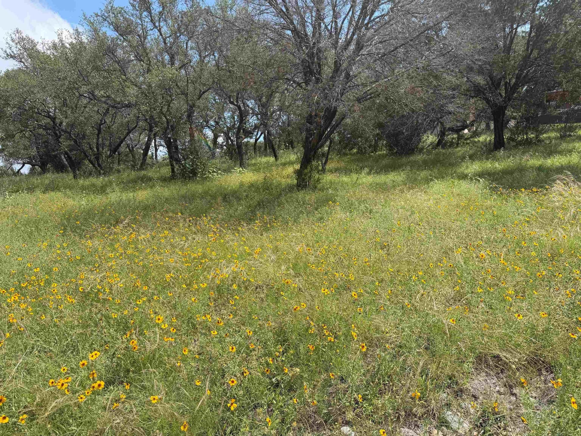 0.26 acres in Llano County - photo 6