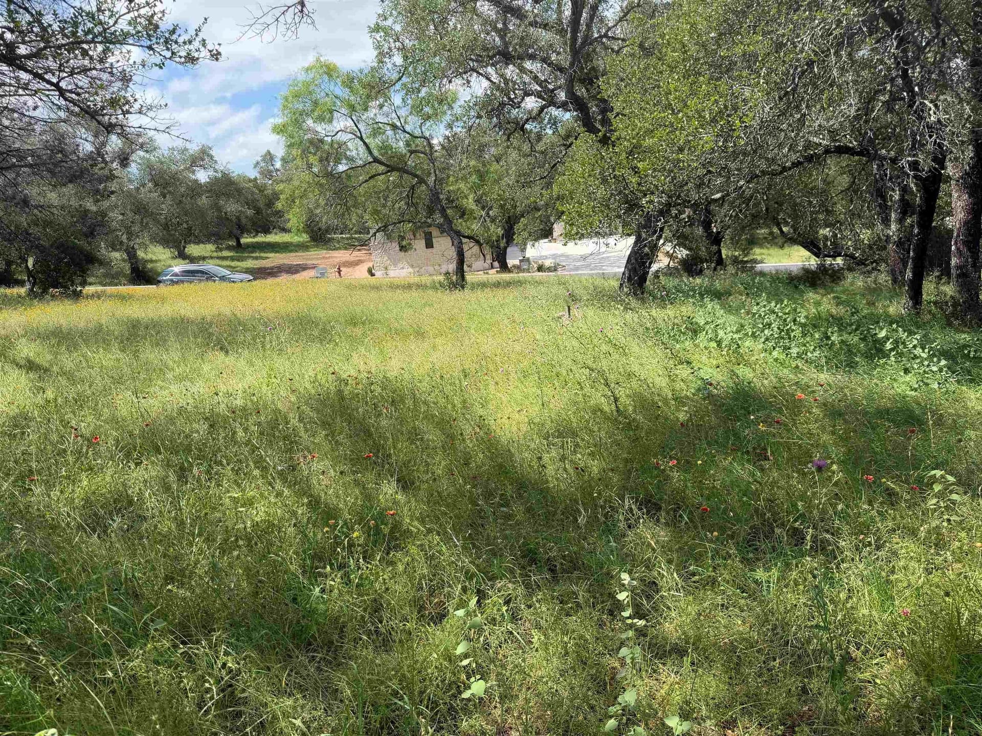 0.26 acres in Llano County gallery image 4