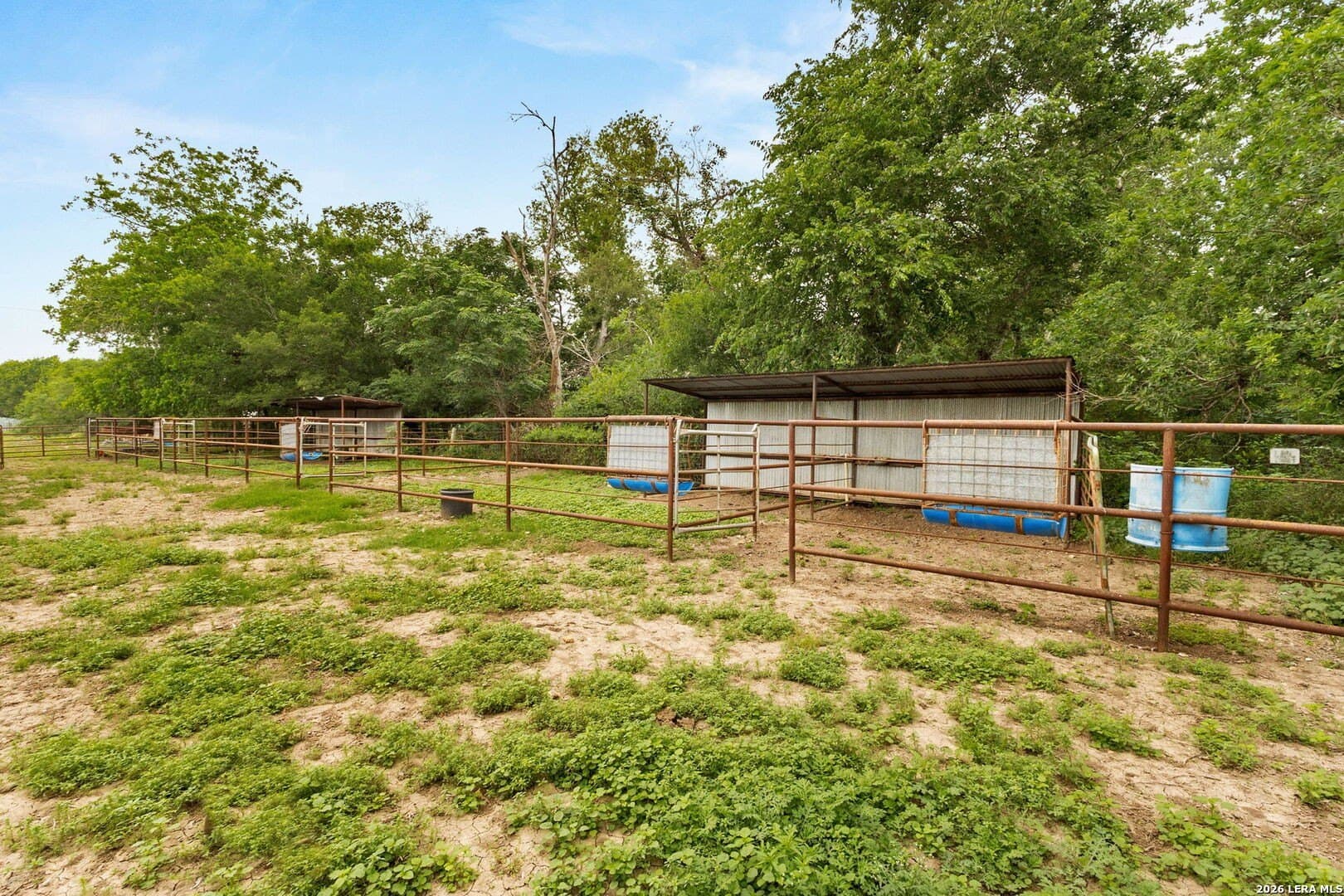19.99 acres in Guadalupe County - photo 41