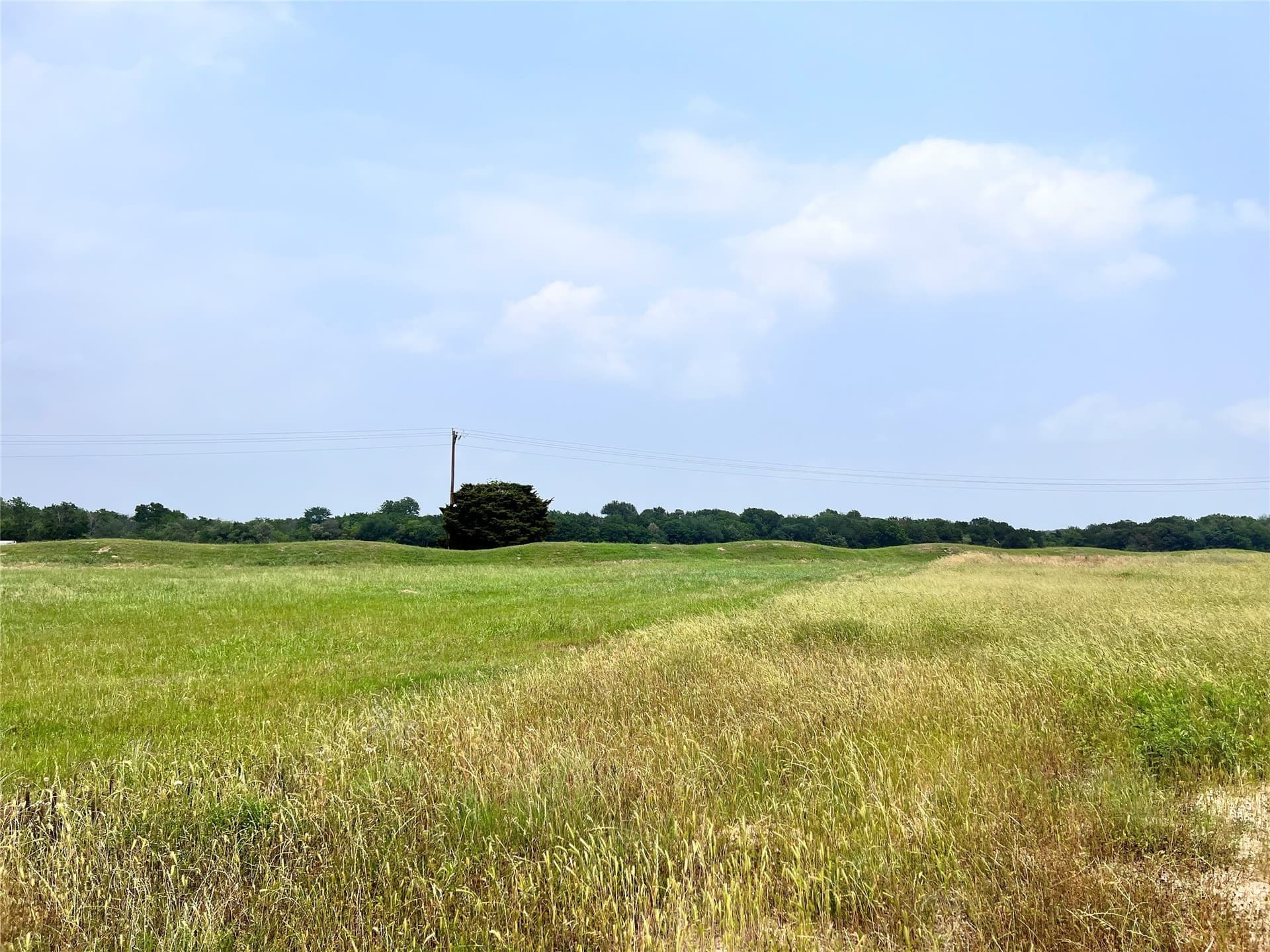 1.37 acres in Navarro County - photo 12