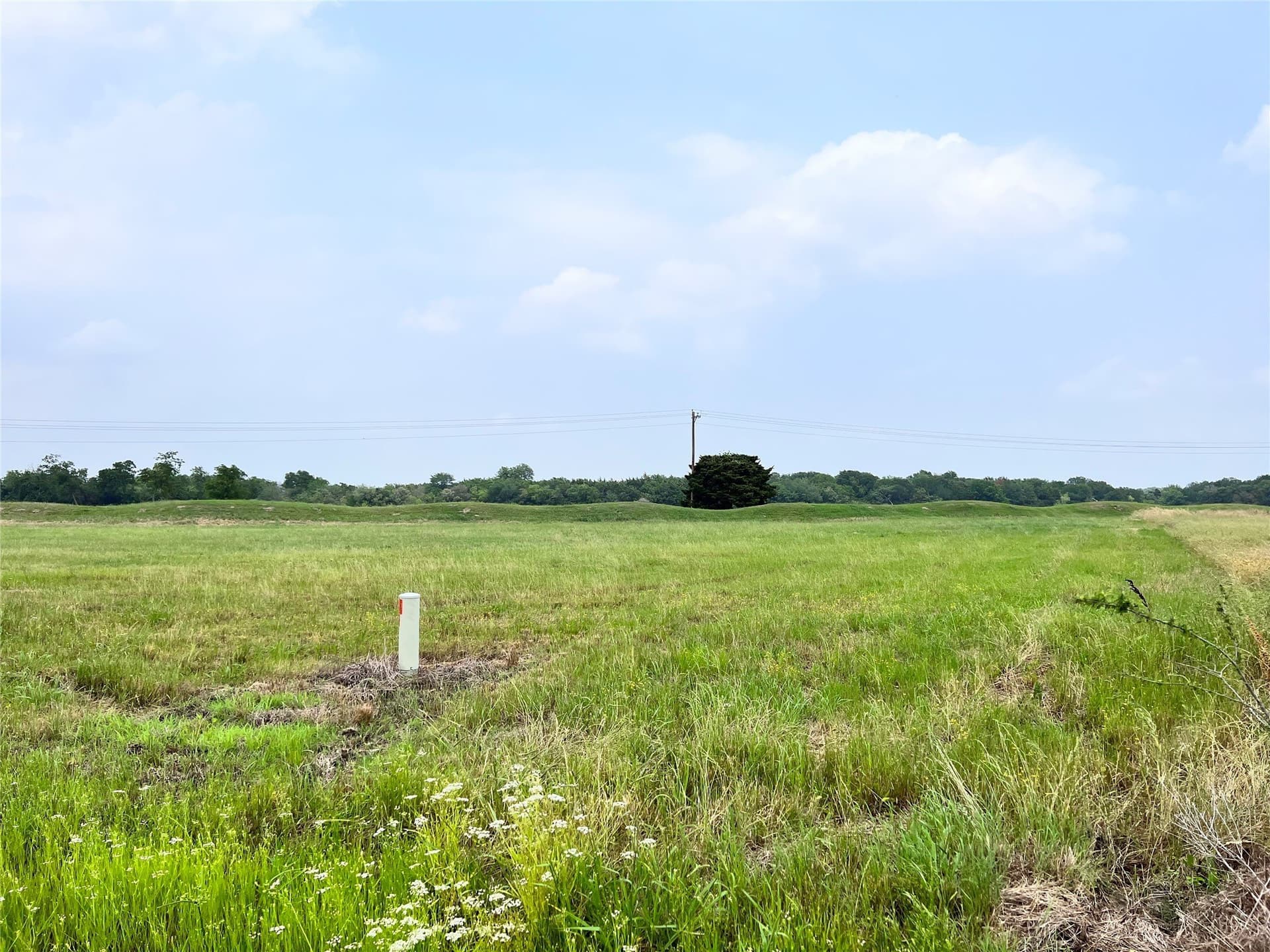 1.37 acres in Navarro County - photo 8