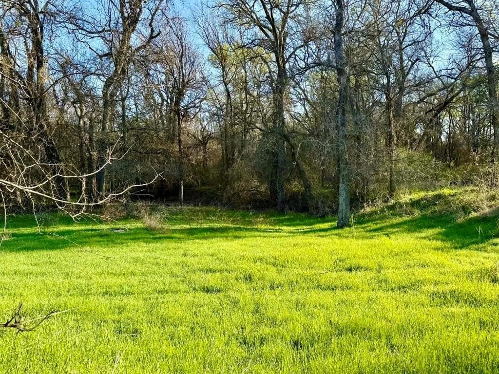 20.02 acres in Comanche County gallery image 4