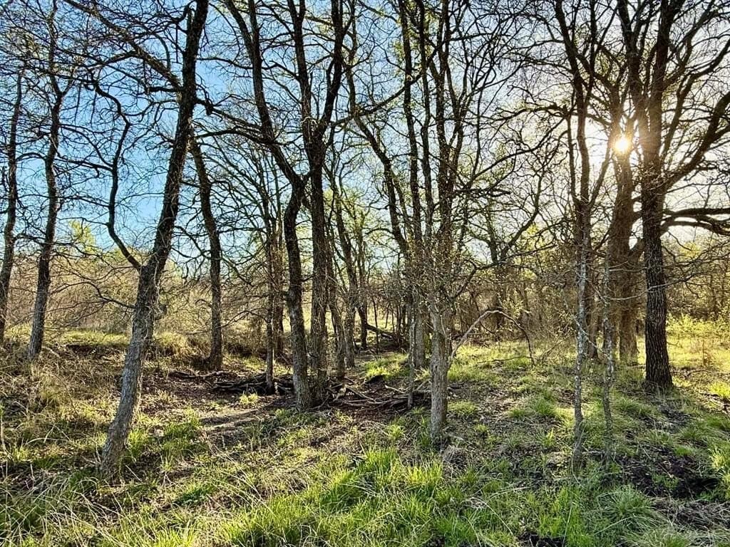 20.02 acres in Comanche County gallery image 2