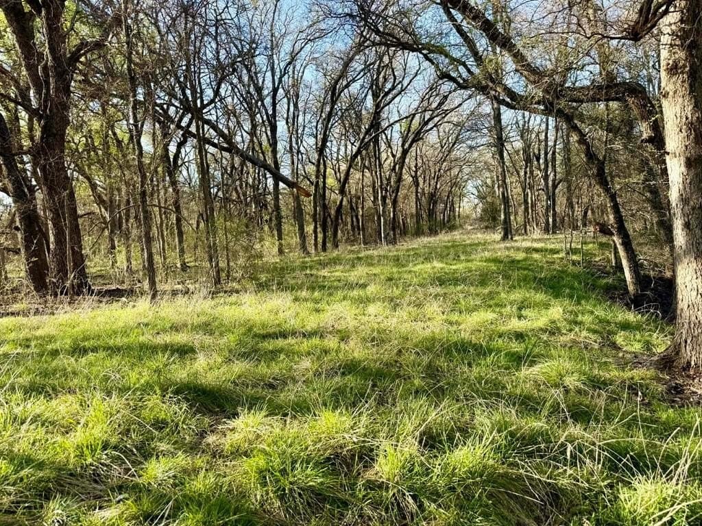 20.02 acres in Comanche County